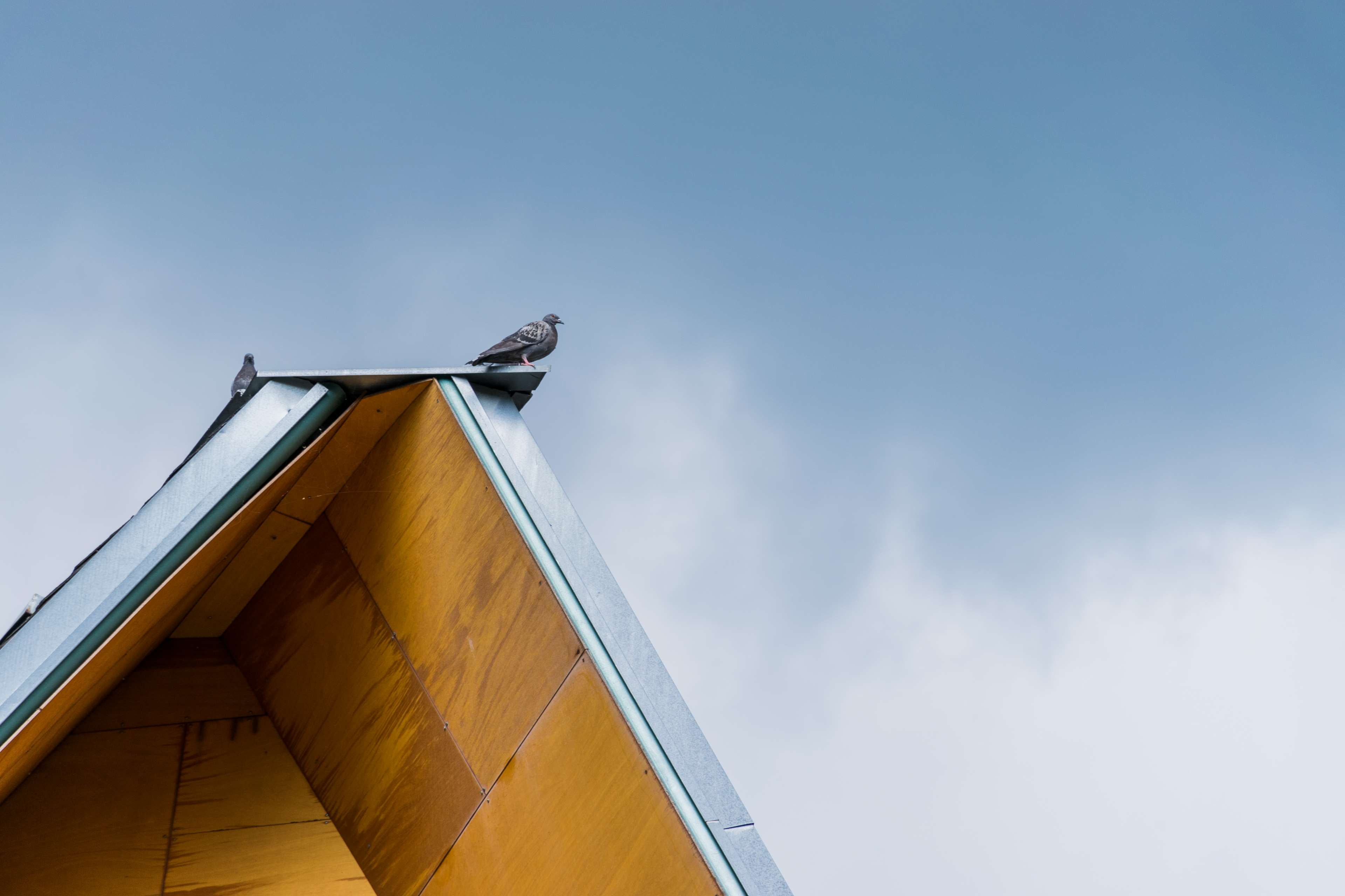 high section, viajar, roof, architecture, espana, tejado, blue, wood - material, pjaro, sky, copy space, vacaciones, building, ave, modern, clear sky, benasque, HD Wallpaper