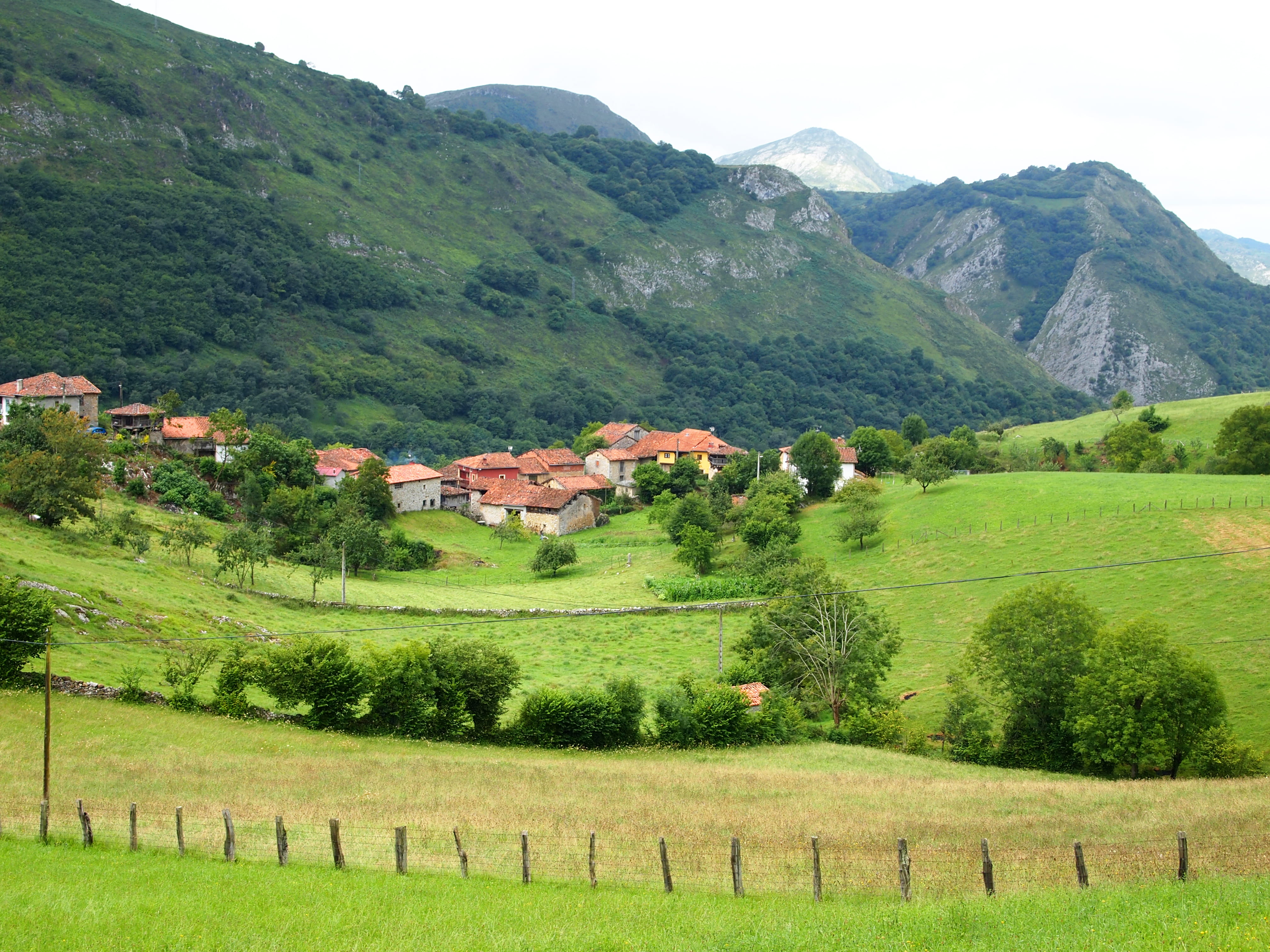 land, grass, rural scene, pueblo, day, mountain, outdoors, asturias, bobia, spain, tranquility, prado, growth, green color, beauty in nature, tranquil scene, HD Wallpaper