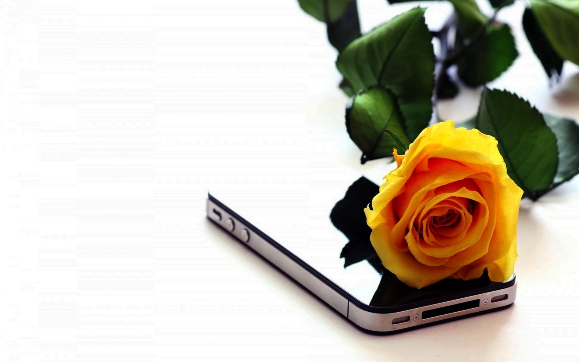 day, s, space, gray, 1080P, yellow, iphone, flower, phone, gift, rose, valentine, 3d and abstract, HD Wallpaper