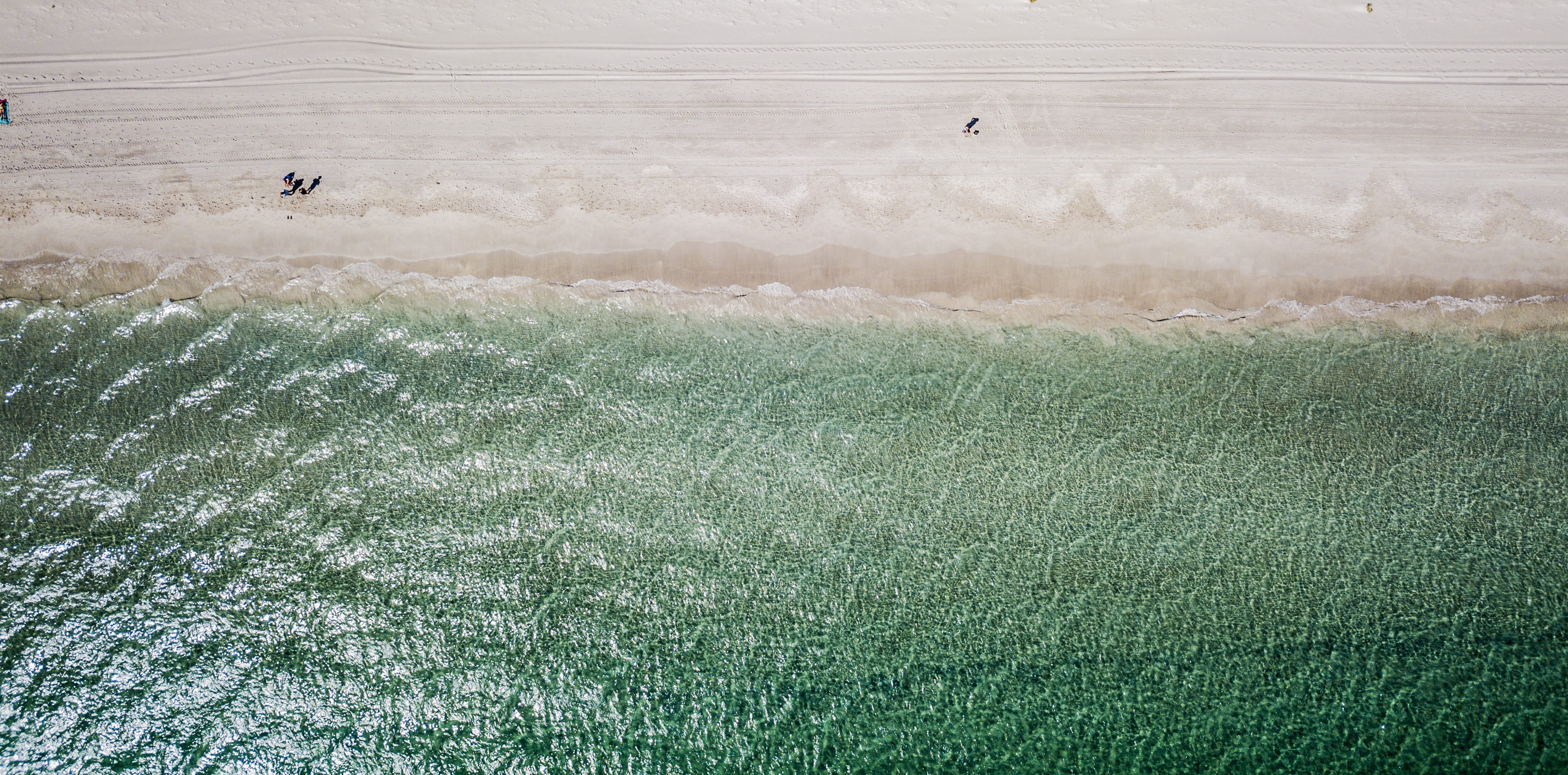 outdoors, mavic pro, no people, western australia, animal, nature, perth, dji, 4K, land, plant, scenics - nature, coogee, dronenr, easter, tranquil scene, HD Wallpaper