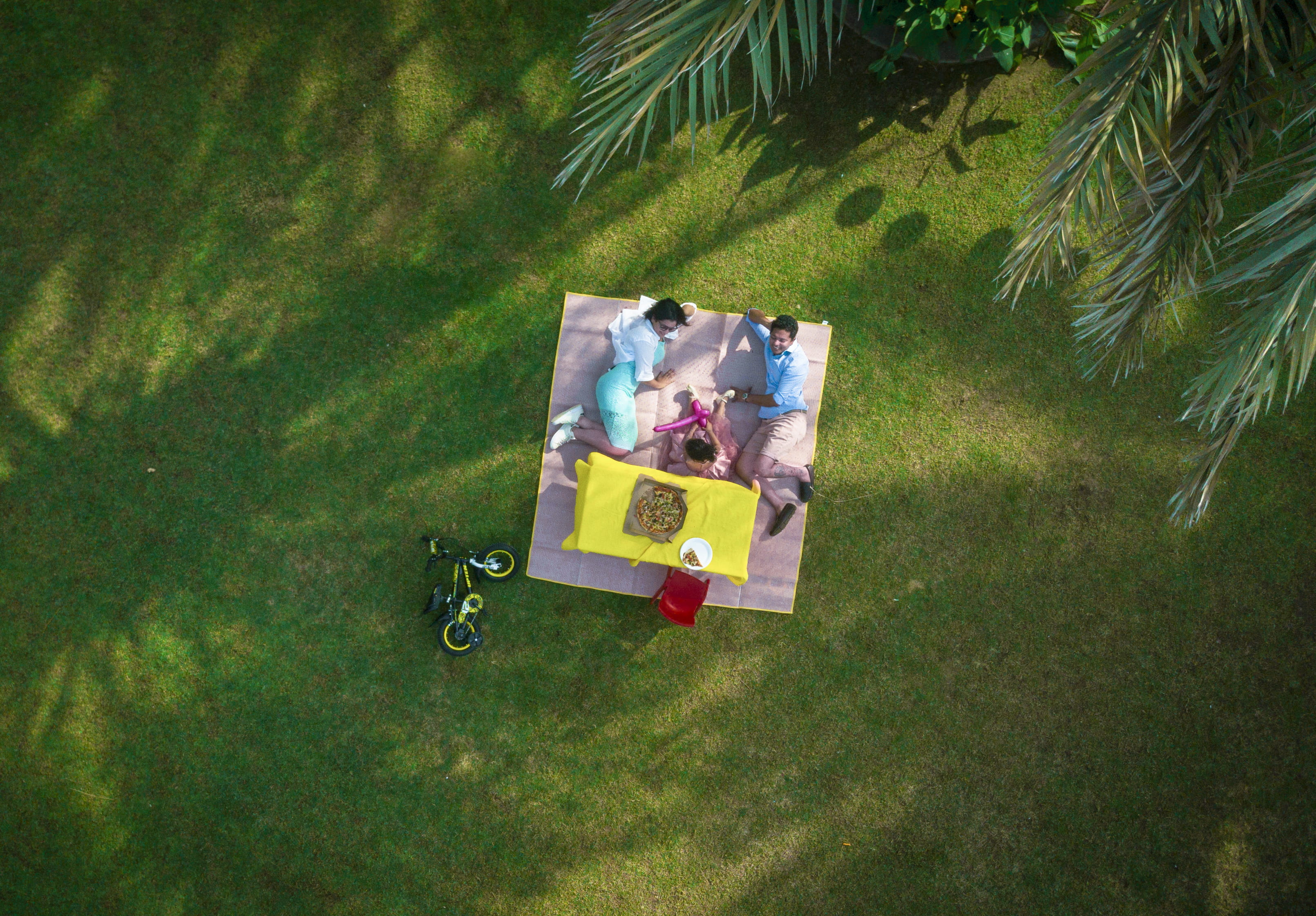 paper currency, nature, laying, garden, people, dji mavic pro, dji, park, man, currency, grass, growth, family, 2K, plant, tree, palm tree, no people, HD Wallpaper