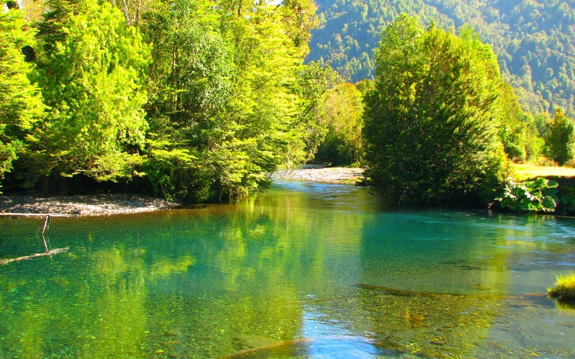outdoors, green color, emerald, nature, river, non-urban scene, reflection, clean, Chile, tranquility, forest, trees, waterfront, growth, beauty in nature, HD Wallpaper