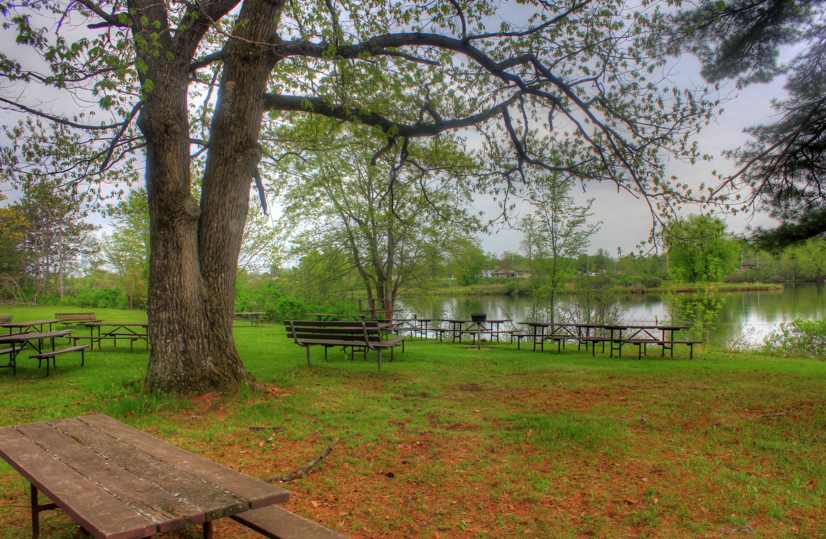 Council Grounds State Park, water, outdoors, tranquility, focus on foreground, park Bench, 2K, tranquil Scene, Picnic, land, growth, by the lake, park, HD Wallpaper