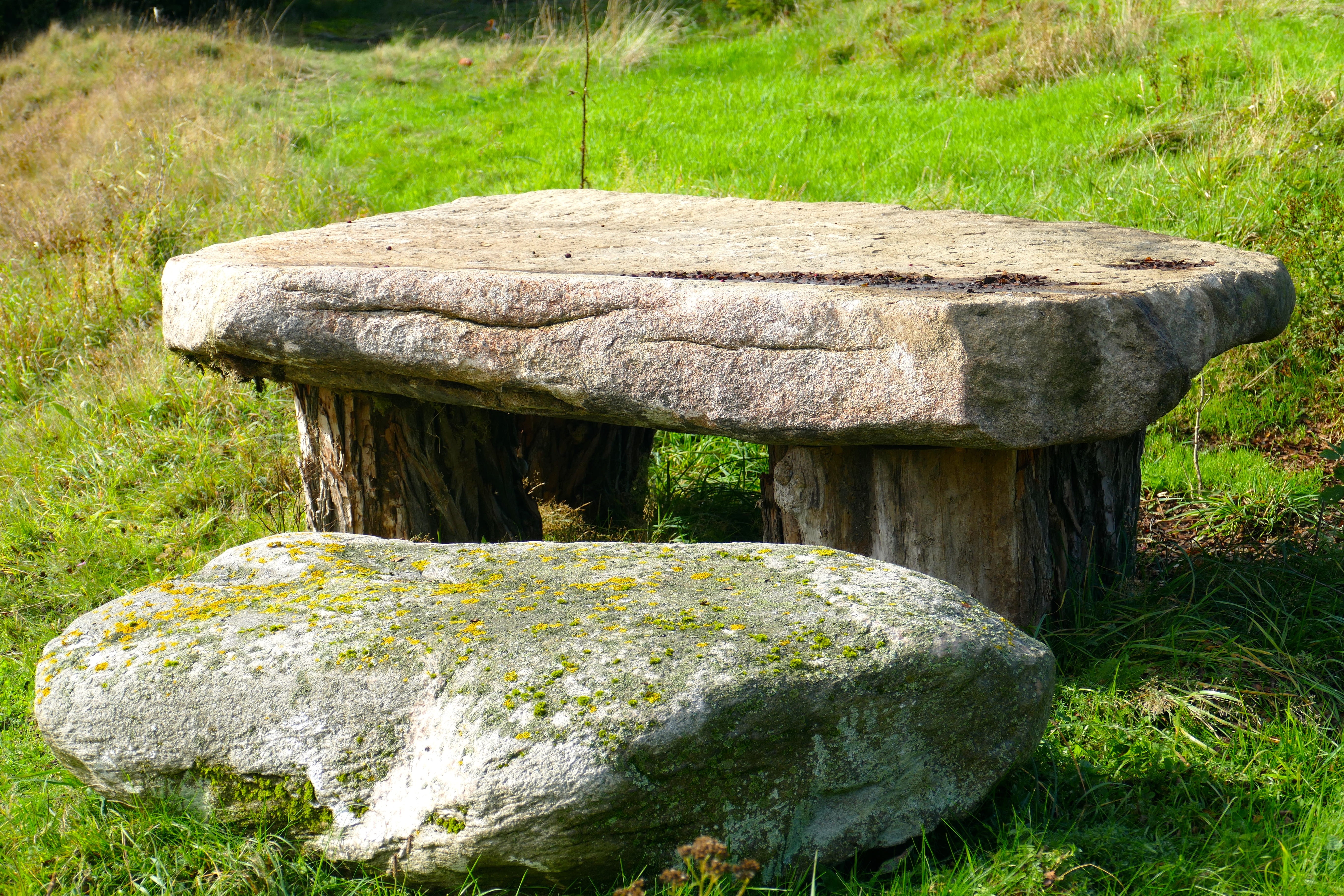 5K, plant, stone, stone table, picnic, tree, outdoors, day, terrace, growth, green, stone bench, solid, bark, gray, wood - material, daytime, beauty in nature, HD Wallpaper