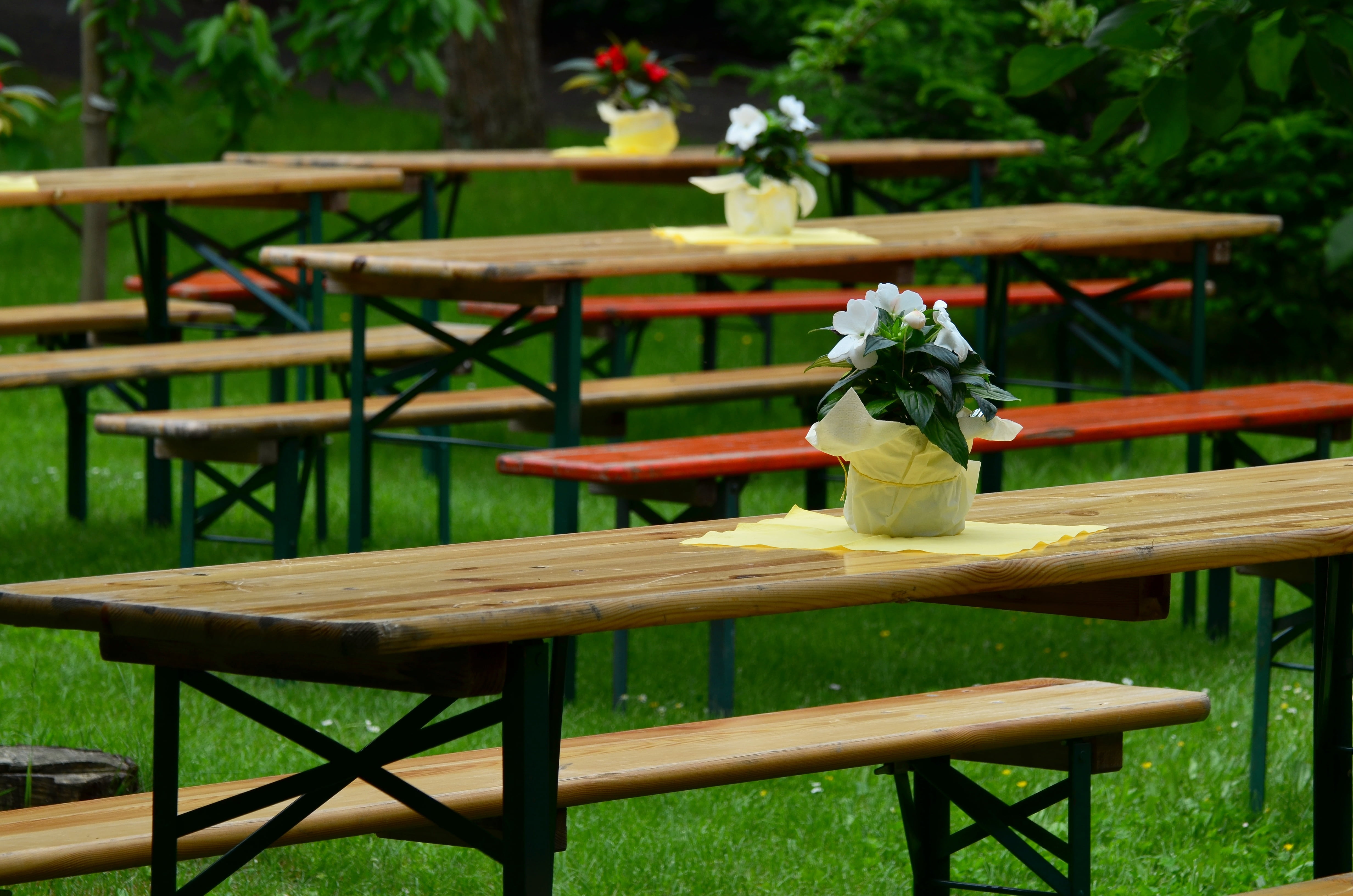 wood - material, garden party, outdoors, park, green, sit, bank, dining tables, 4K, wooden bench, meadow, day, out, fragility, focus on foreground, picnic table, HD Wallpaper