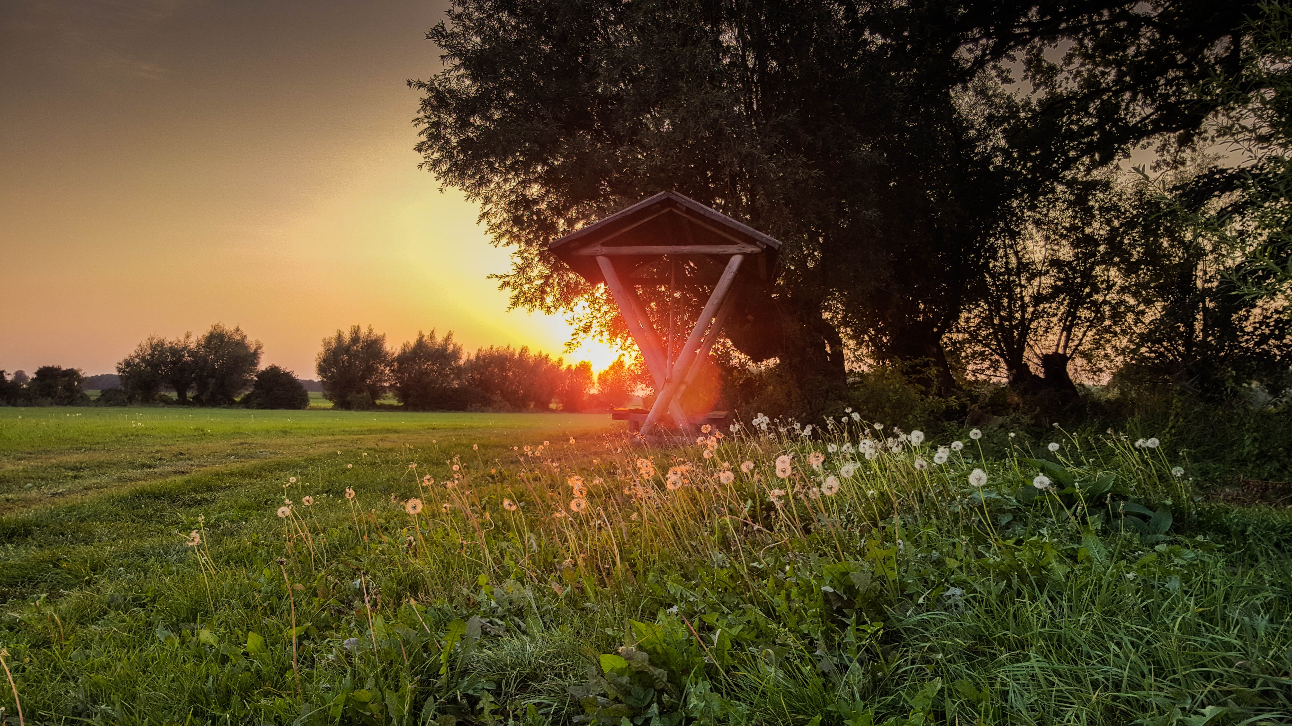 beauty in nature, environment, morning, grass, skies, sunrise, yellow, sun, growth, bench, trees, morgenrot, 5K, horizon, yellow purple, meadow, picnic, HD Wallpaper