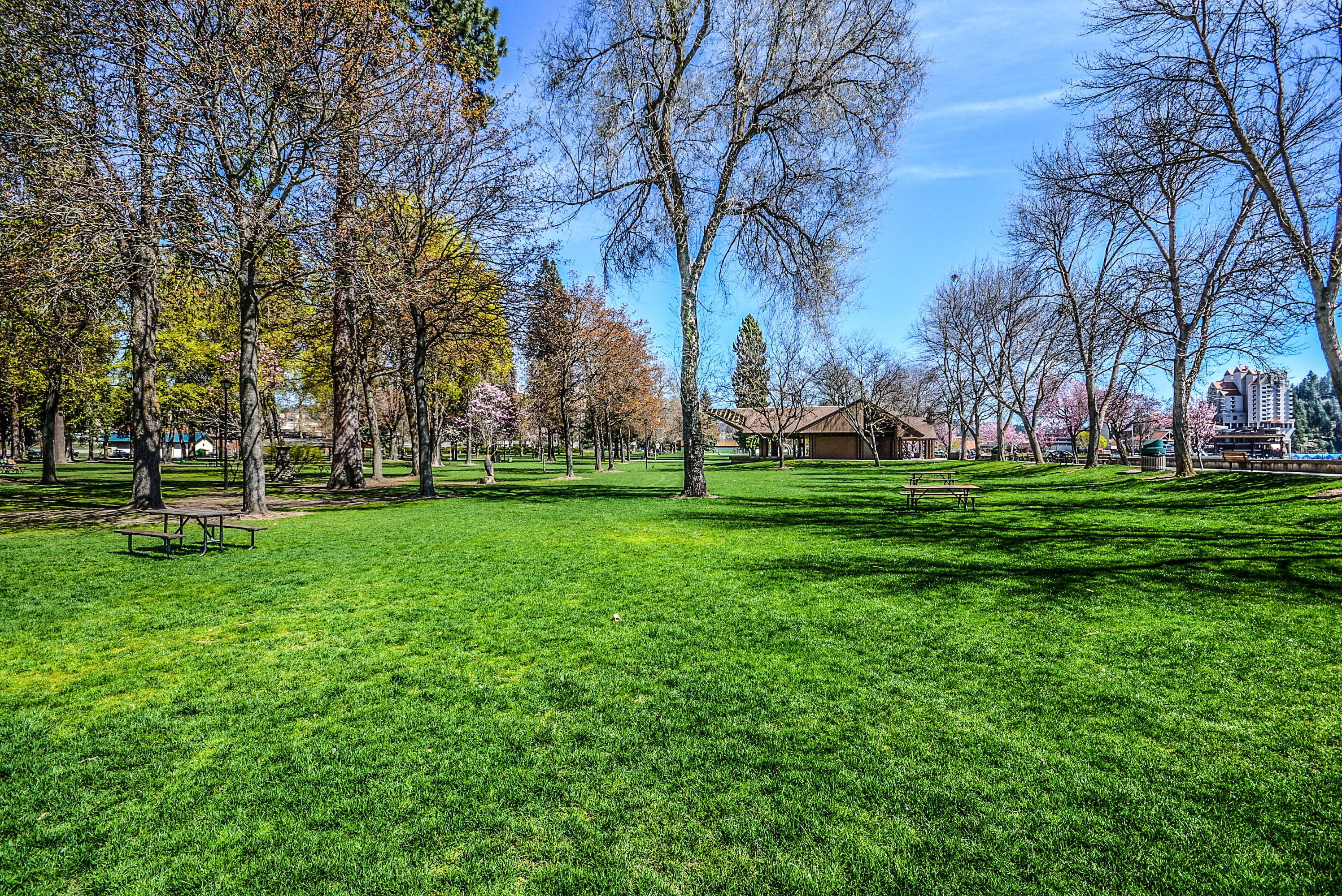 scenics - nature, nature, bench, tranquility, picnic, green color, outdoor, spring, daytime, trees, field, landscape, growth, sky, cloud - sky, day, 2K, HD Wallpaper