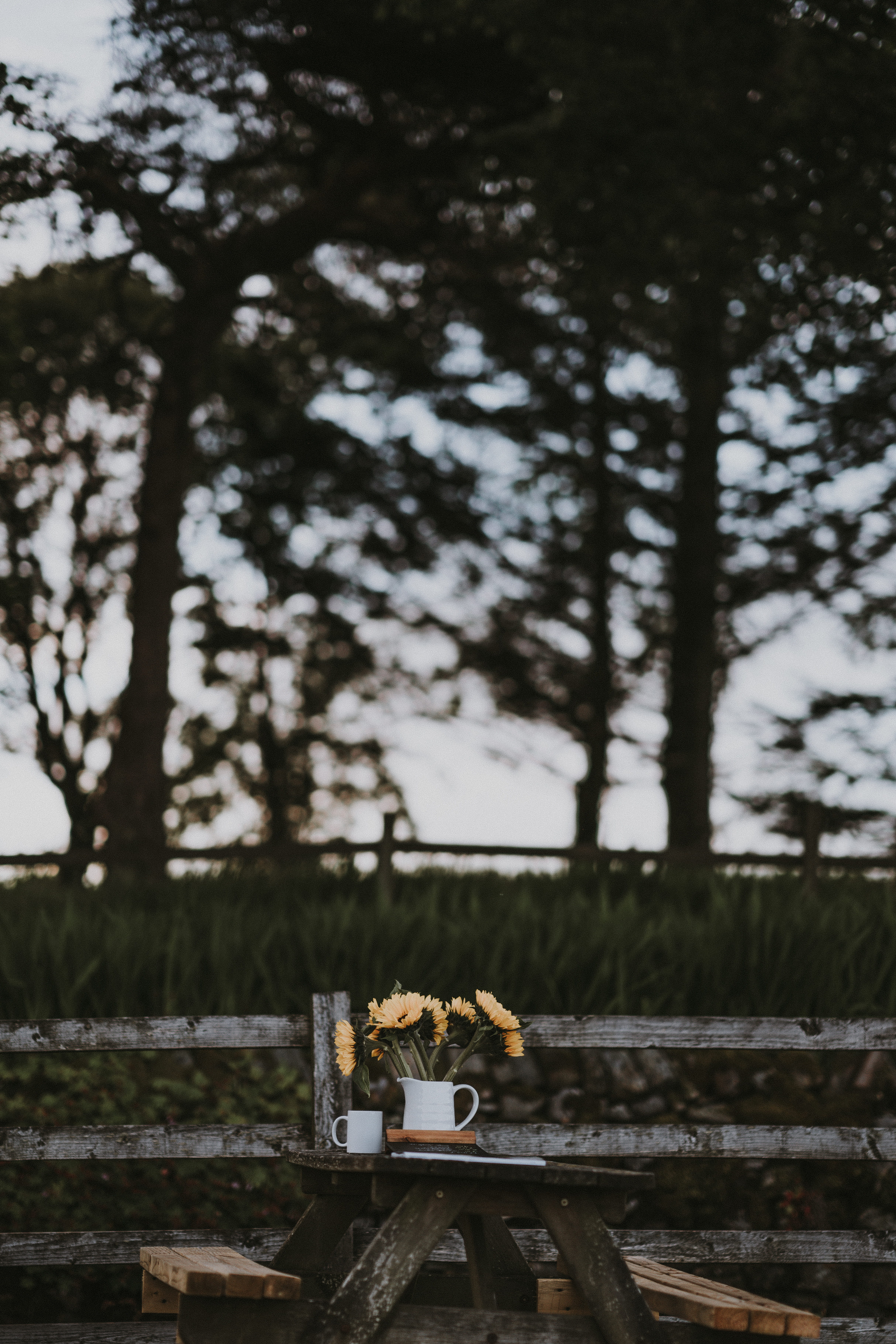 ceramic, no People, blur, wood, picnic table, 5K, autumn, rural Scene, nature, flower, table, wall, dusk, sunset, jug, evening, bokeh, fence, wood - Material, Phone HD Wallpaper