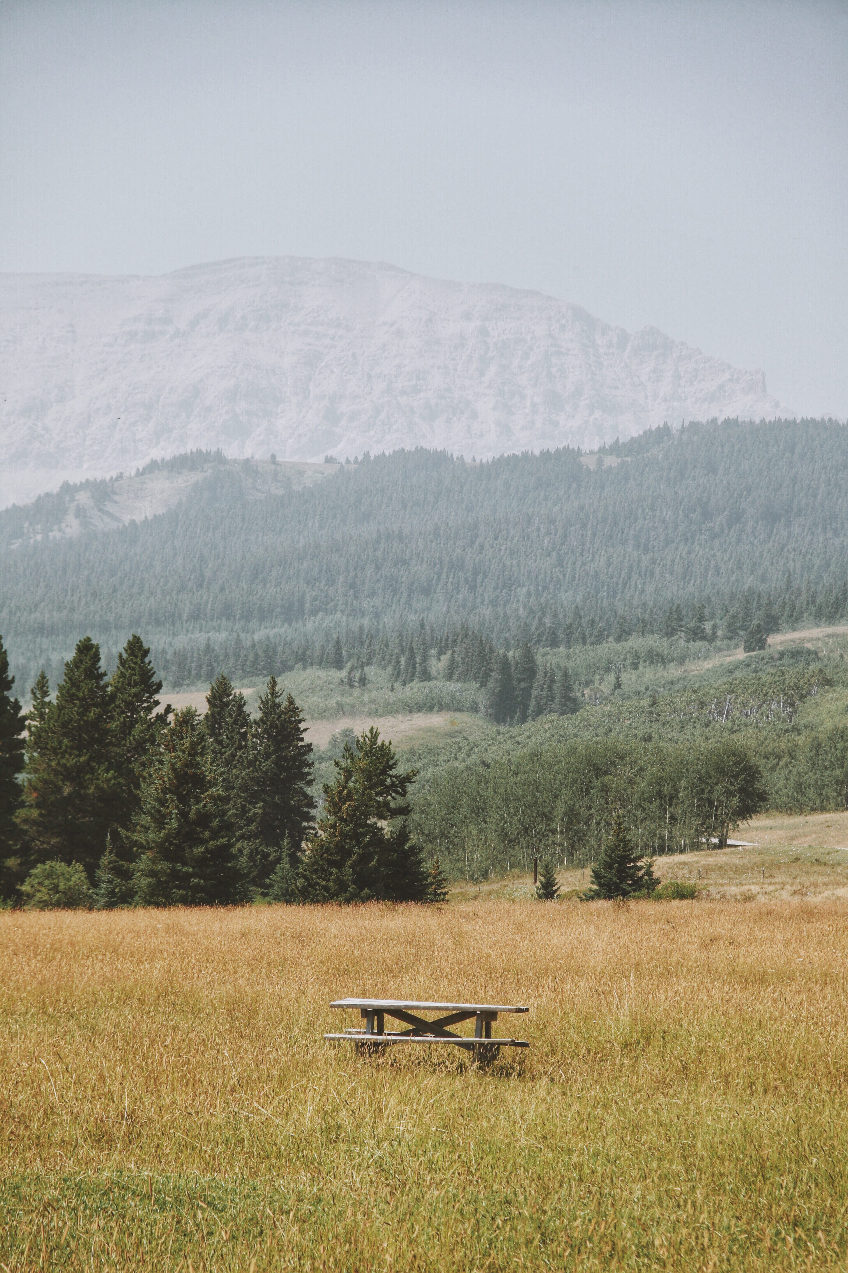 outdoors, seat, rural, beauty in nature, furniture, mood, empty, tree, day, countryside, grassland, abies, field, land, middle, tranquility, picnic bench, Phone HD Wallpaper