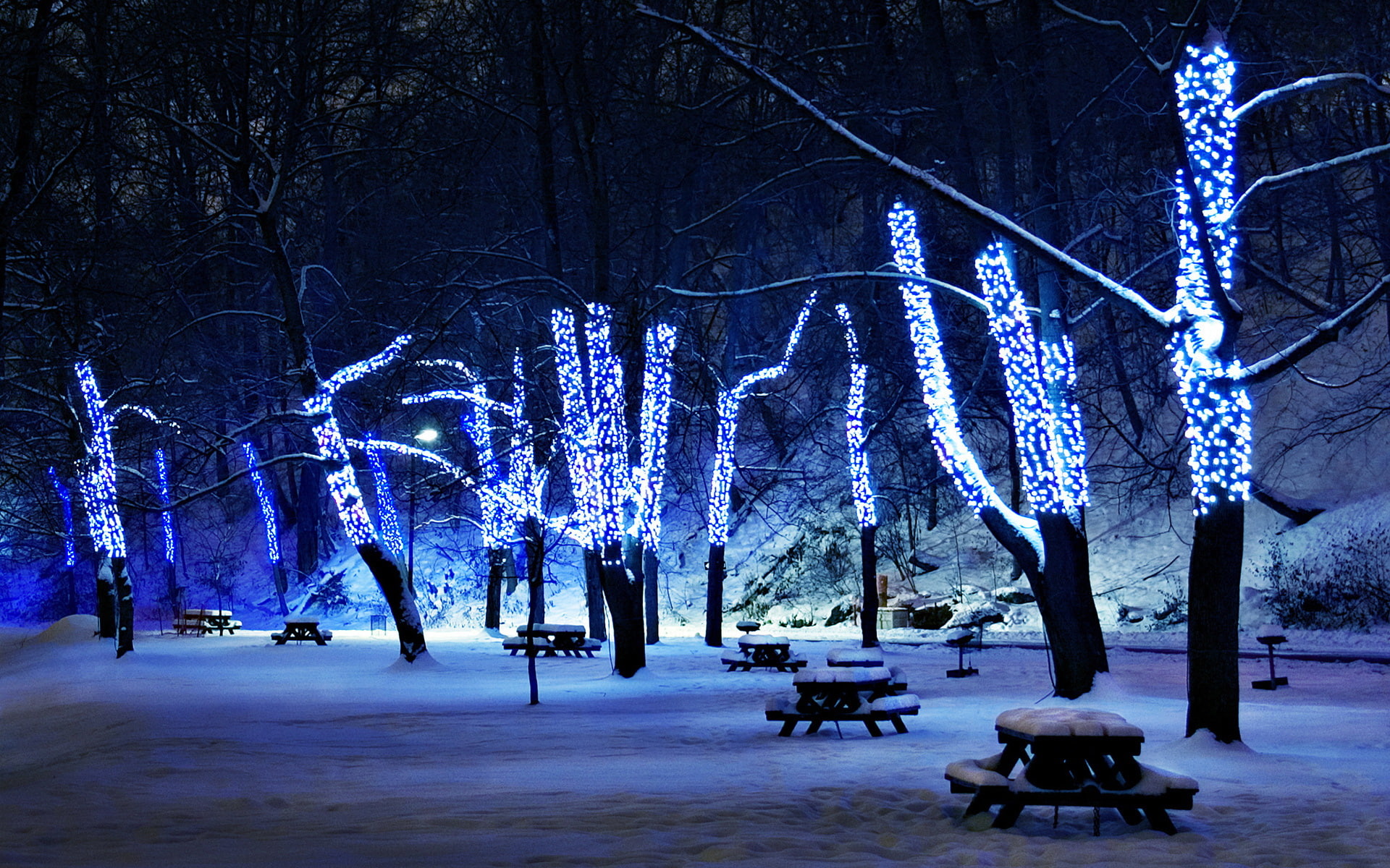bench, tables, park, trees, lights, snow, 1080P, picnic, night, winter, HD Wallpaper