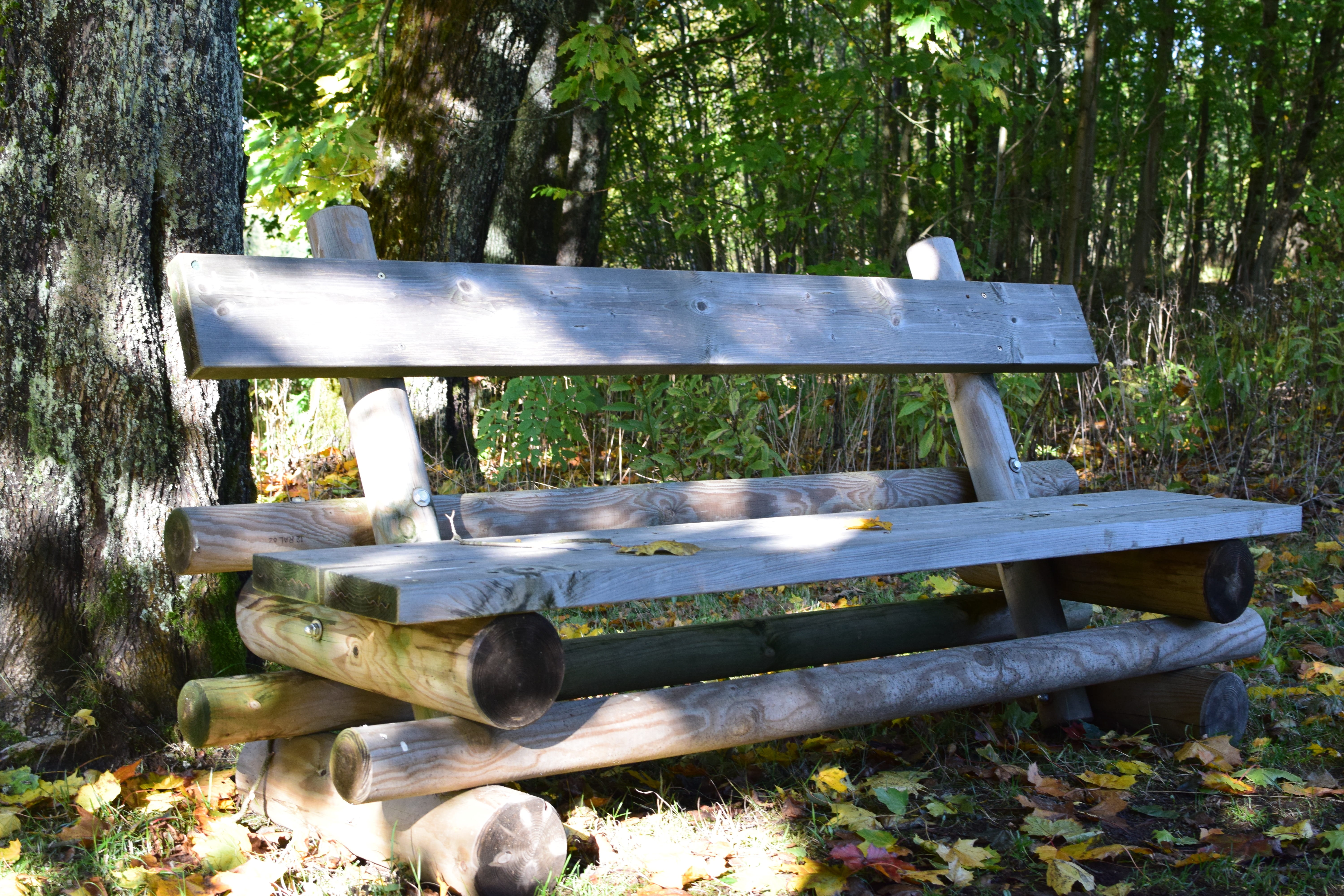 land, tree, park, park - man made space, no people, trees, wood, wood - material, bench, brown, field, park bench, 5K, near, seat, day, absence, outdoors, HD Wallpaper