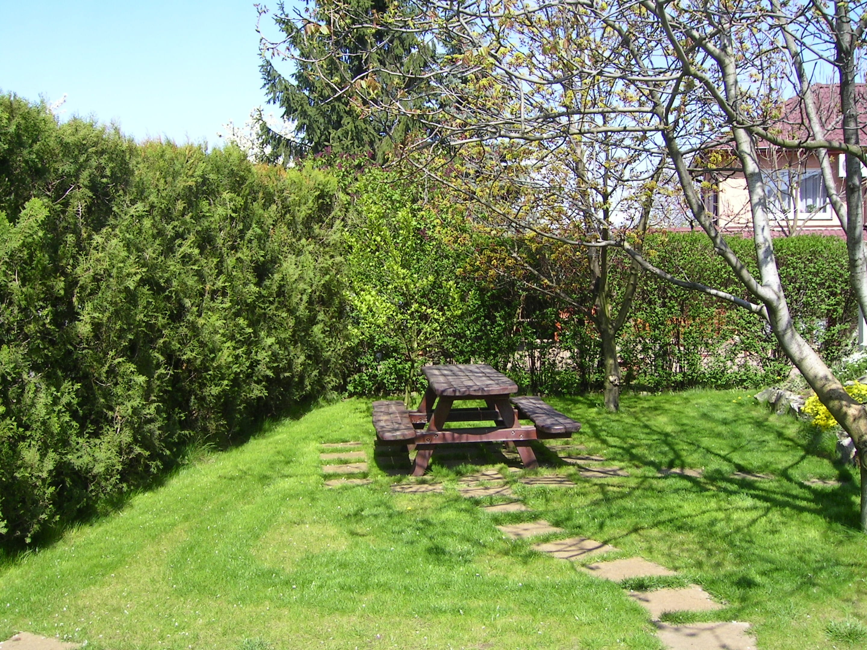 day, plant, land, branch, tree, outdoors, bench, transportation, field, no people, land vehicle, landscape, green color, garden bench, Picnic Table, mode of transportation, HD Wallpaper