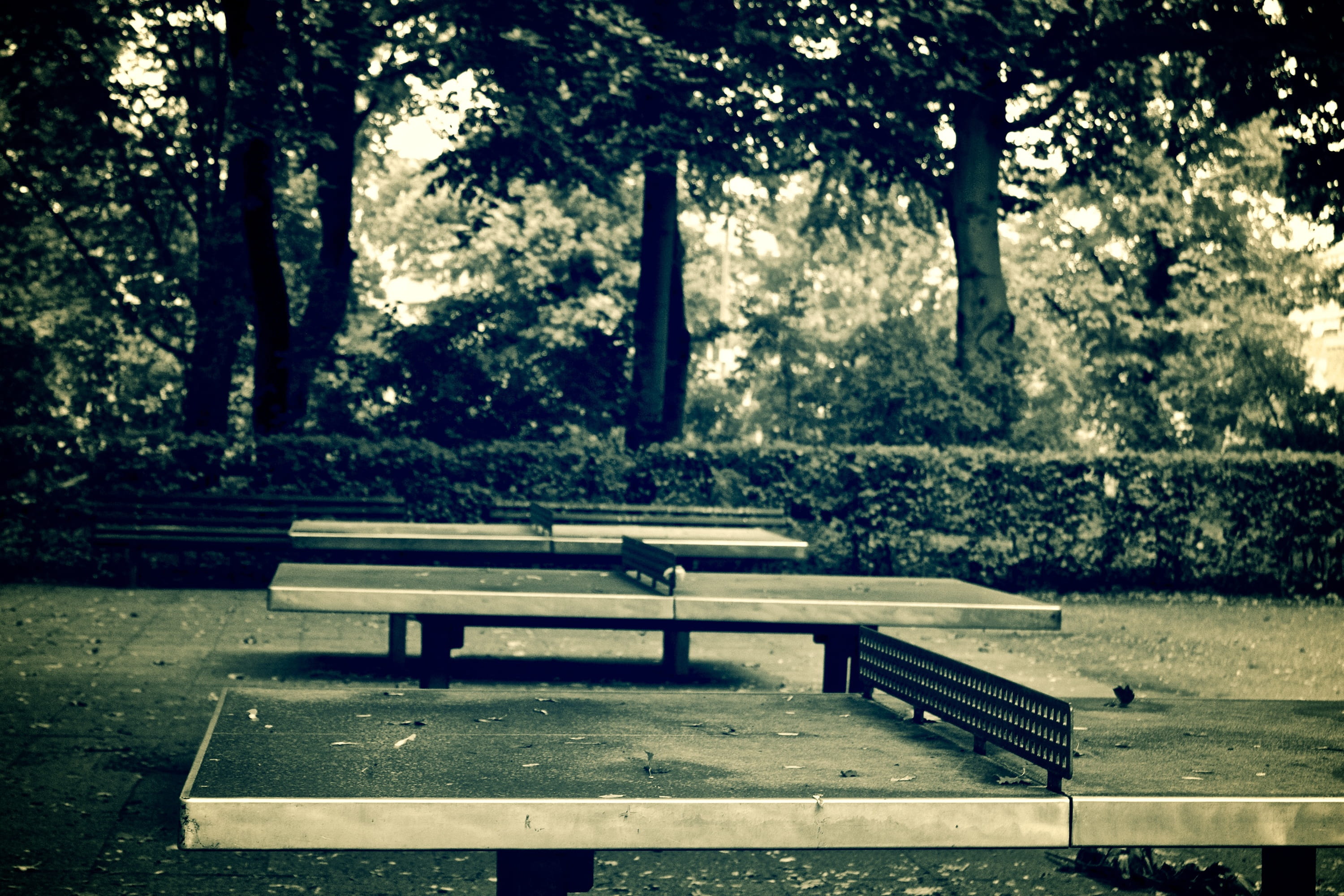 picnic table, wood - material, park - man made space, competition, seat, trunk, grunge, tranquility, game, ping-pong, tree trunk, bench, absence, play, HD Wallpaper