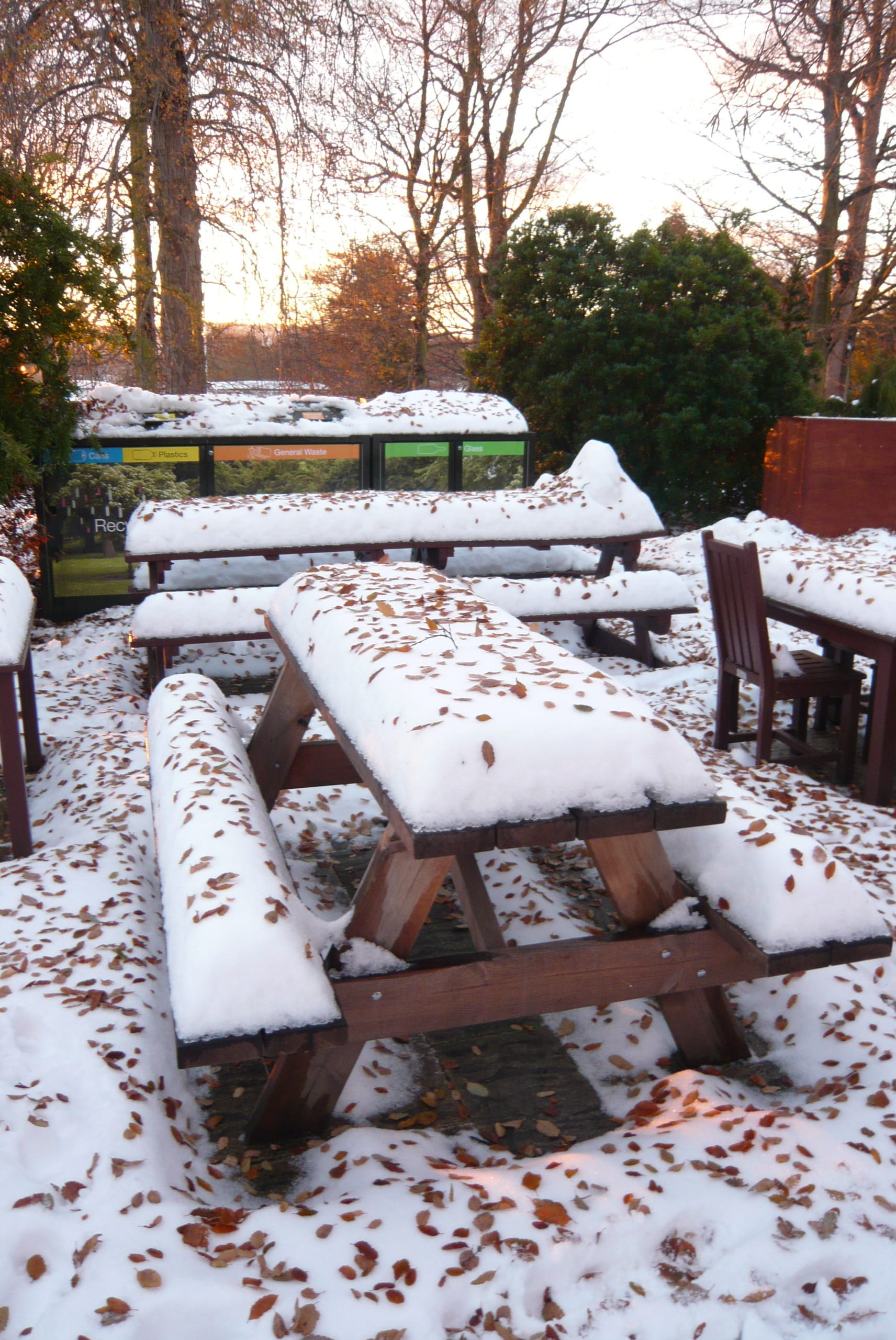 plant, white color, season, outdoors, snowfall, cold, empty, snowy, cold temperature, day, 2K, nature, park, forest, tree, snow, picnic tables, bench, Phone HD Wallpaper