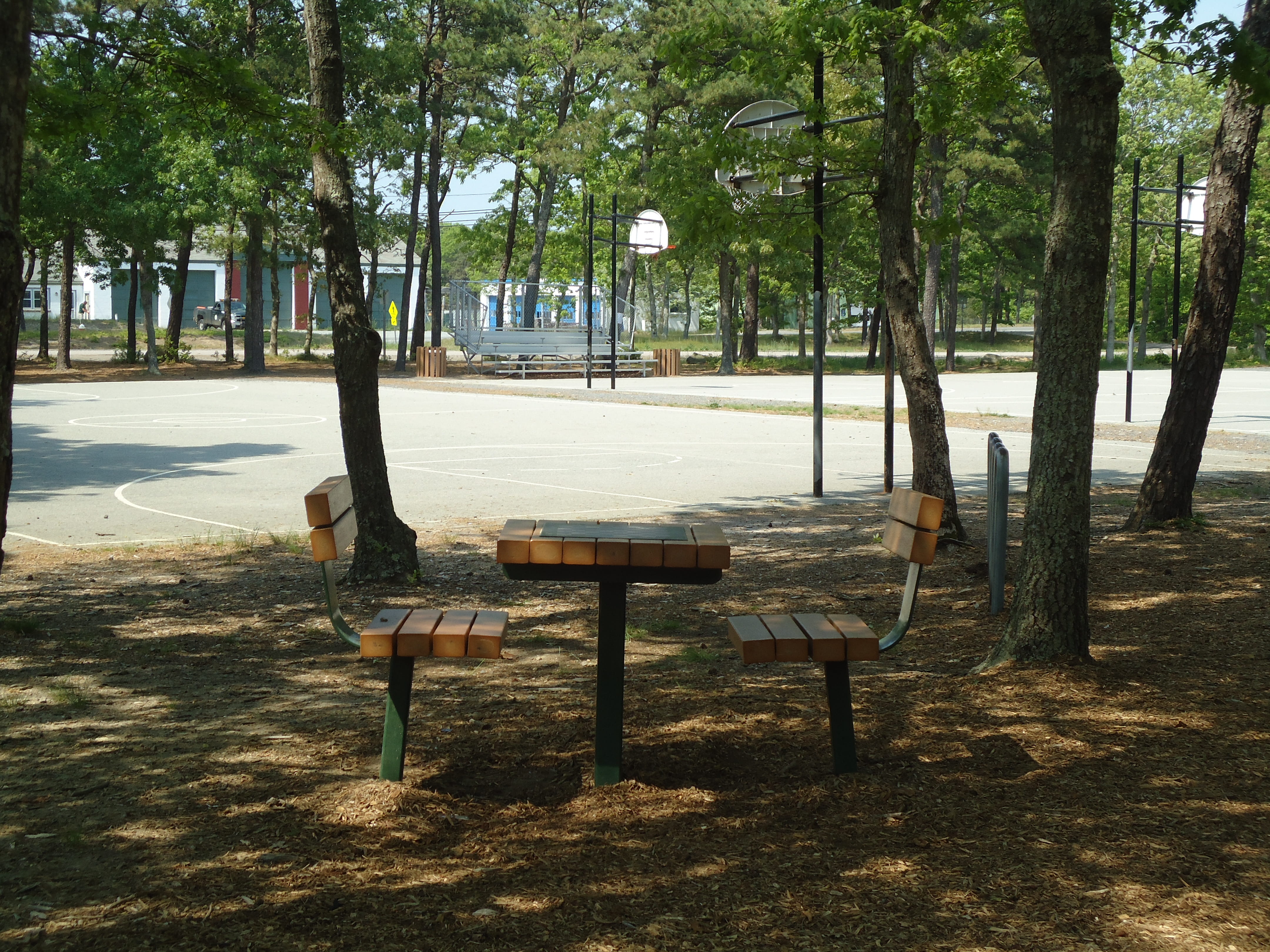 trunk, tranquility, outdoors, seat, bench, table, shadow, nature, 4K, absence, no people, empty, chair, park - man made space, plant, shade, tree, day, HD Wallpaper