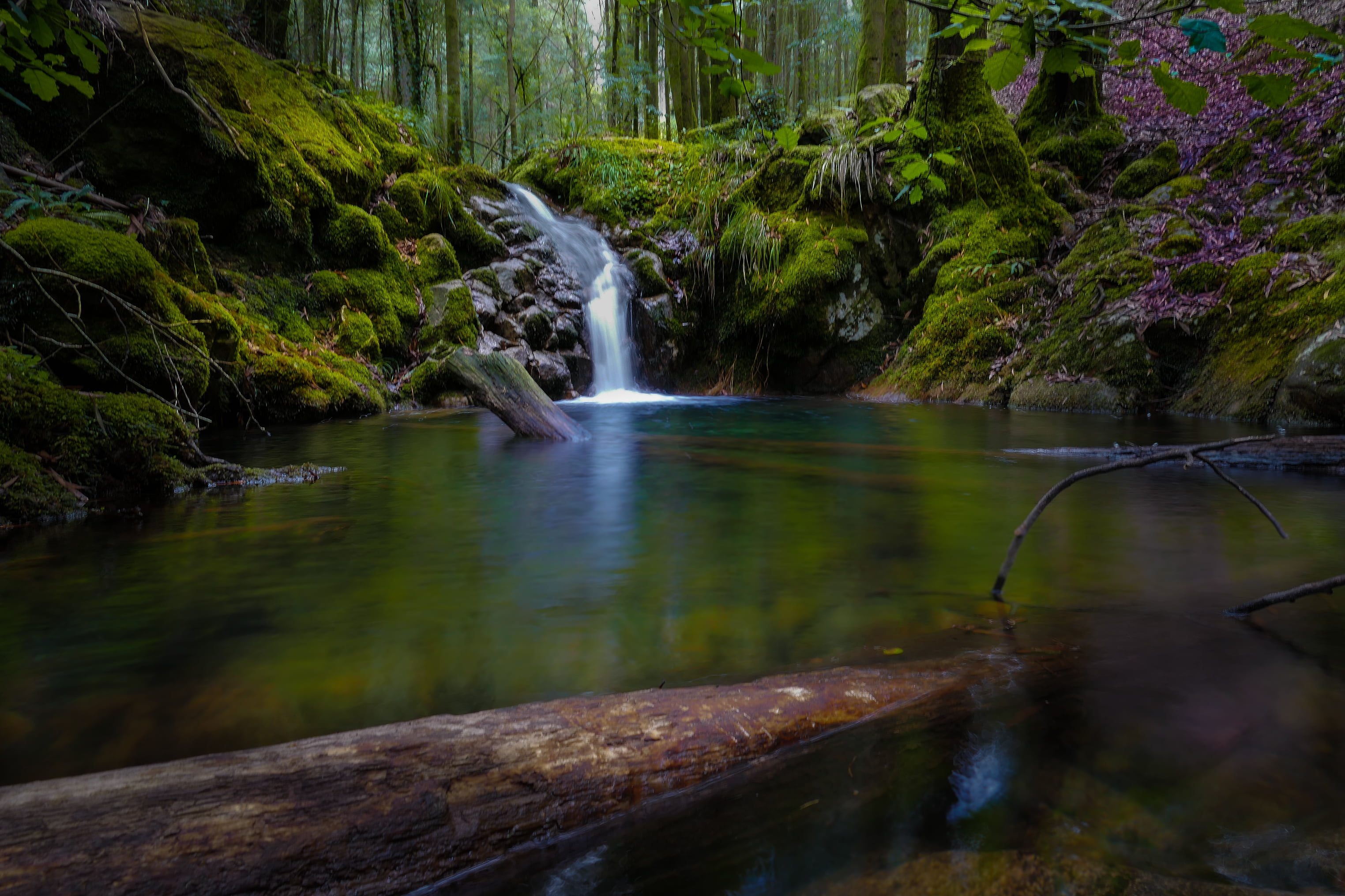 outdoors, Pontevedra, lake, scenics, flowing Water, river, forest, Spain, waterfall, 2K, Galicia, water, Panasonic, FZ, Lumix, landscape, green, da, stream, HD Wallpaper
