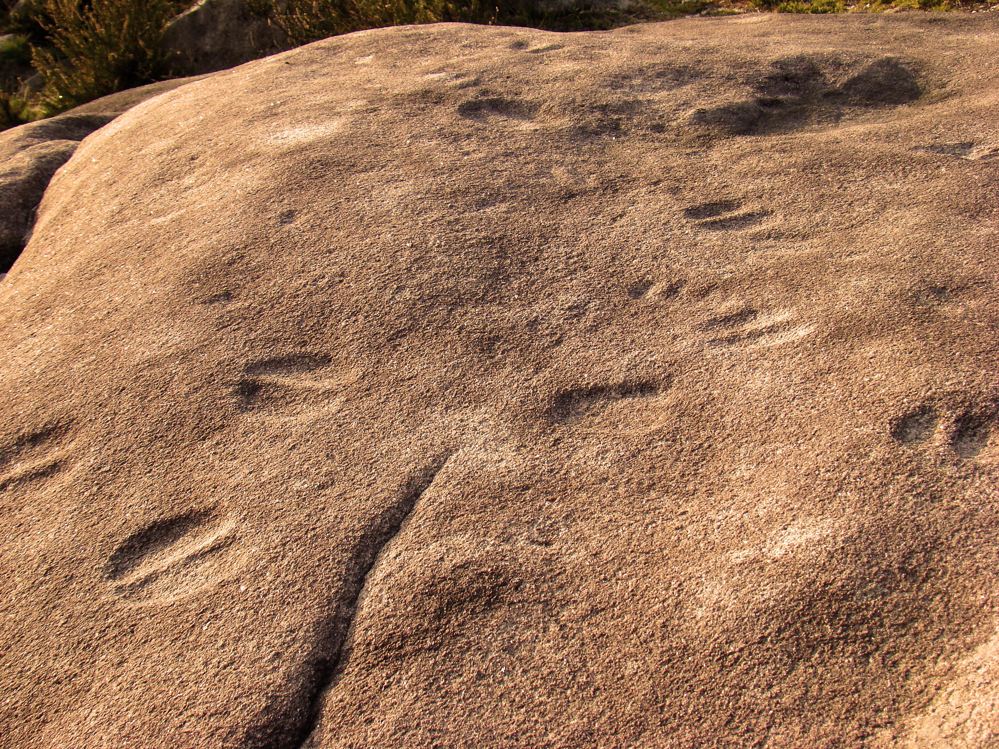 solid, beach, outdoors, history, culture, tranquility, rock engravings, rock - object, rock, the bronze age, pontevedra, high angle view, 2K, sand, arid climate, HD Wallpaper