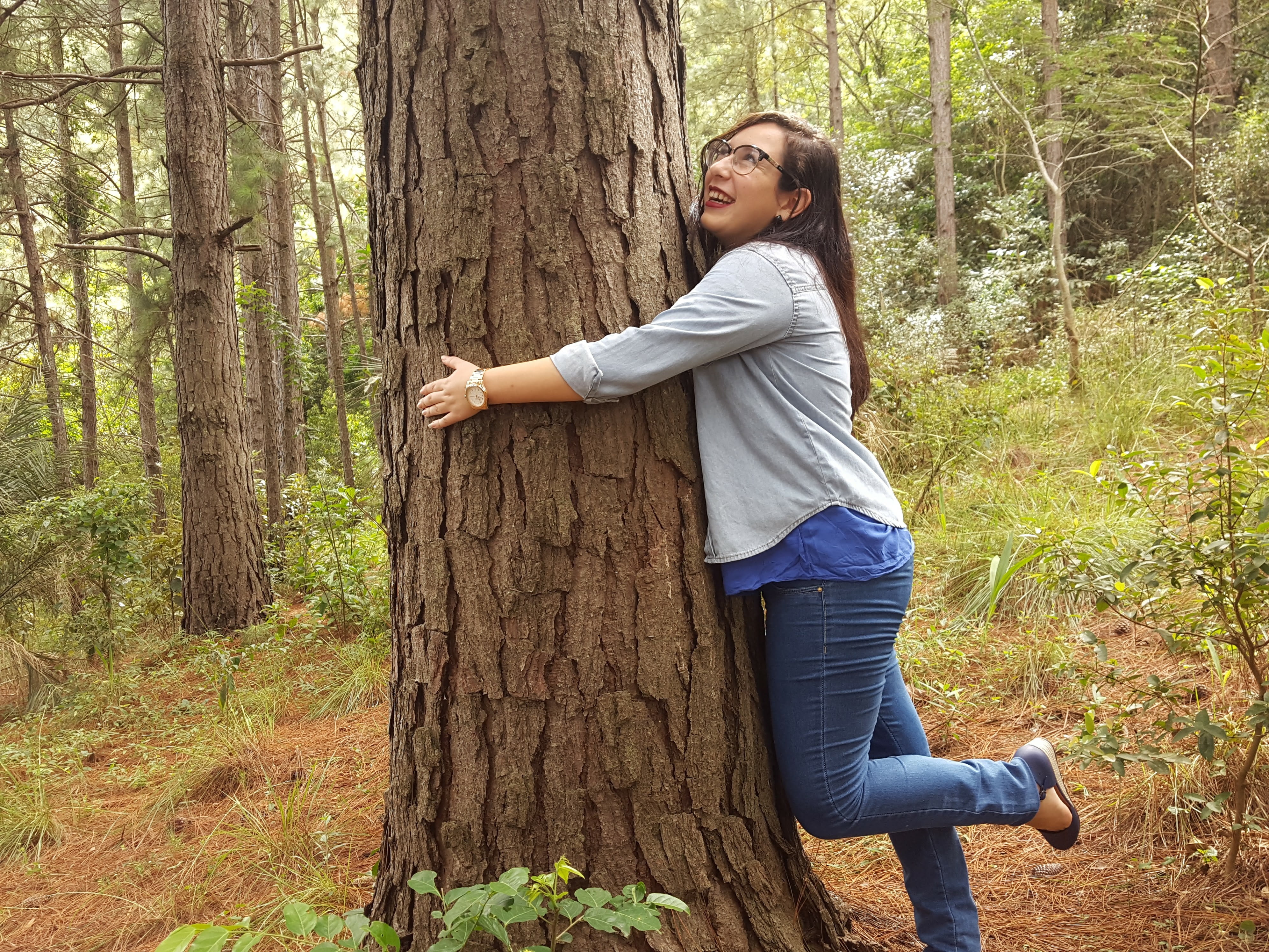 outdoors, casual clothing, women, tree trunk, feliciadade, plant, green, floresta, full length, hairstyle, land, natureza, standing, forest, young women, HD Wallpaper