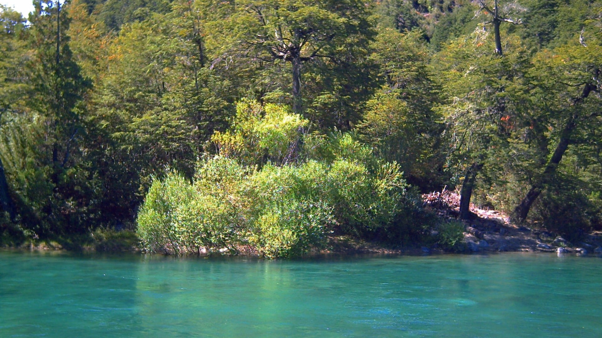 water, los, futaleufu, forests, nature, 1080P, river, region, rivers, green, turquoise, lagos, chile, landscapes, HD Wallpaper