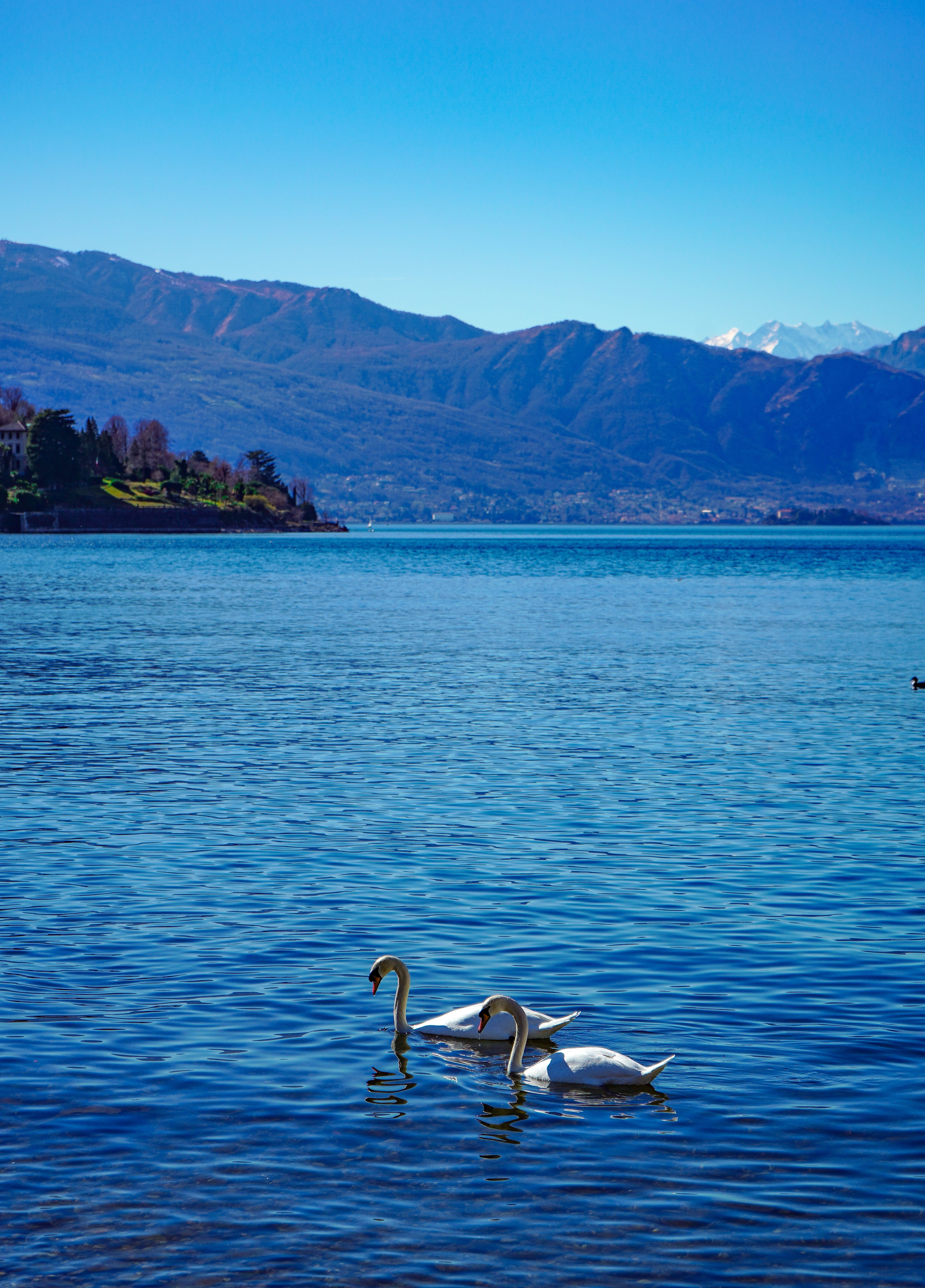 laveno, lombardy, mountain, beauty in nature, elegant, elegance, blue, noble, varese, white, mountains, sky, day, background, waterfront, lake, nature, Phone HD Wallpaper