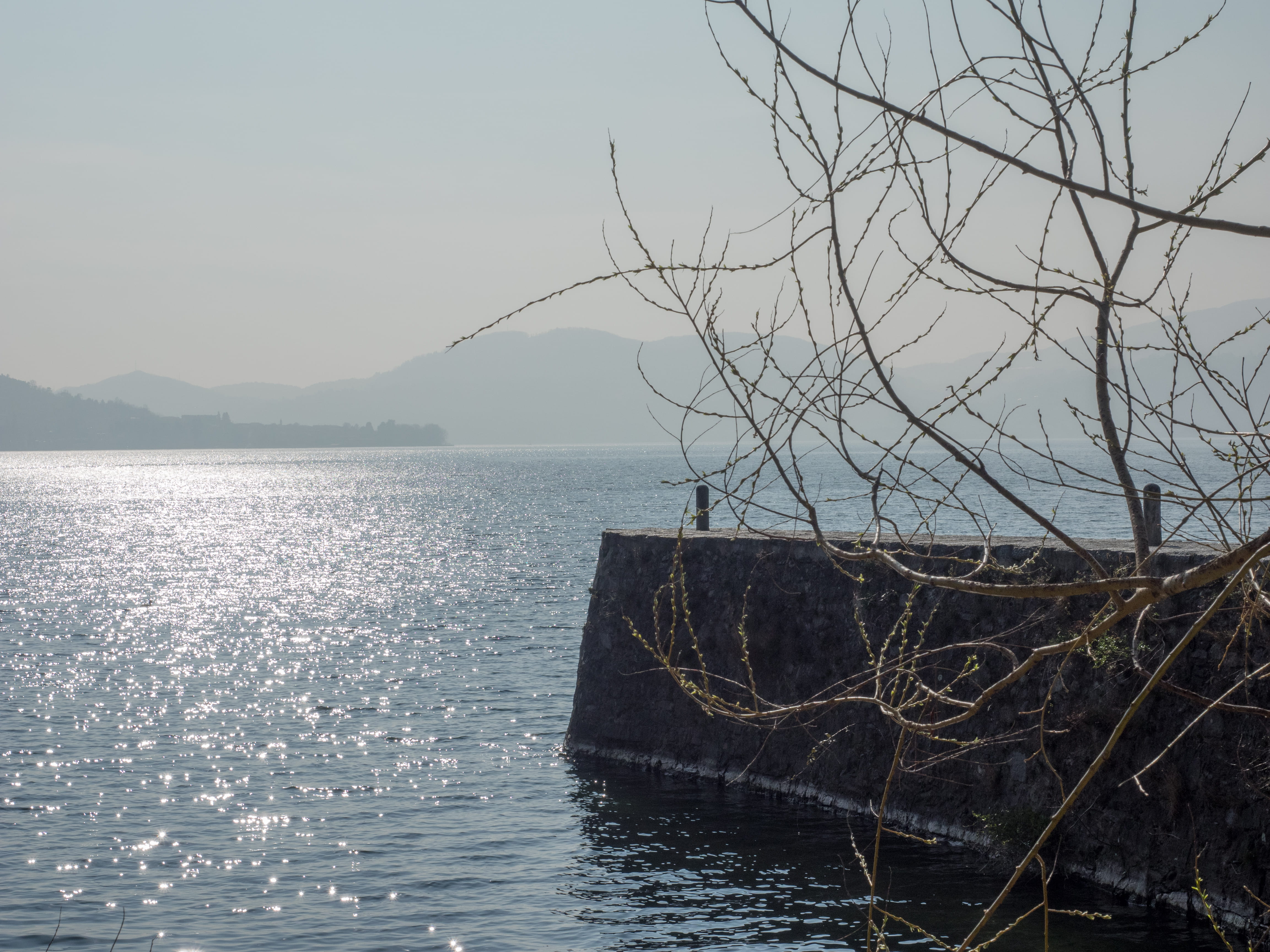 branch, italy, tranquil scene, nature, beauty in nature, tranquility, waterfront, outdoors, sky, day, idyllic, no people, lago maggiore, plant, lake, non-urban scene, HD Wallpaper
