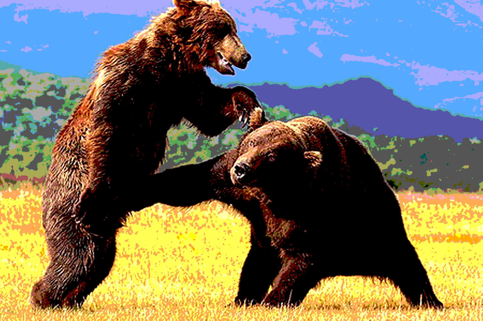 nature, bear, animal themes, yu, animal behavior, fighting, domestic animals, day, group of animals, mammal, animals in the wild, grass, aggression, plant, HD Wallpaper