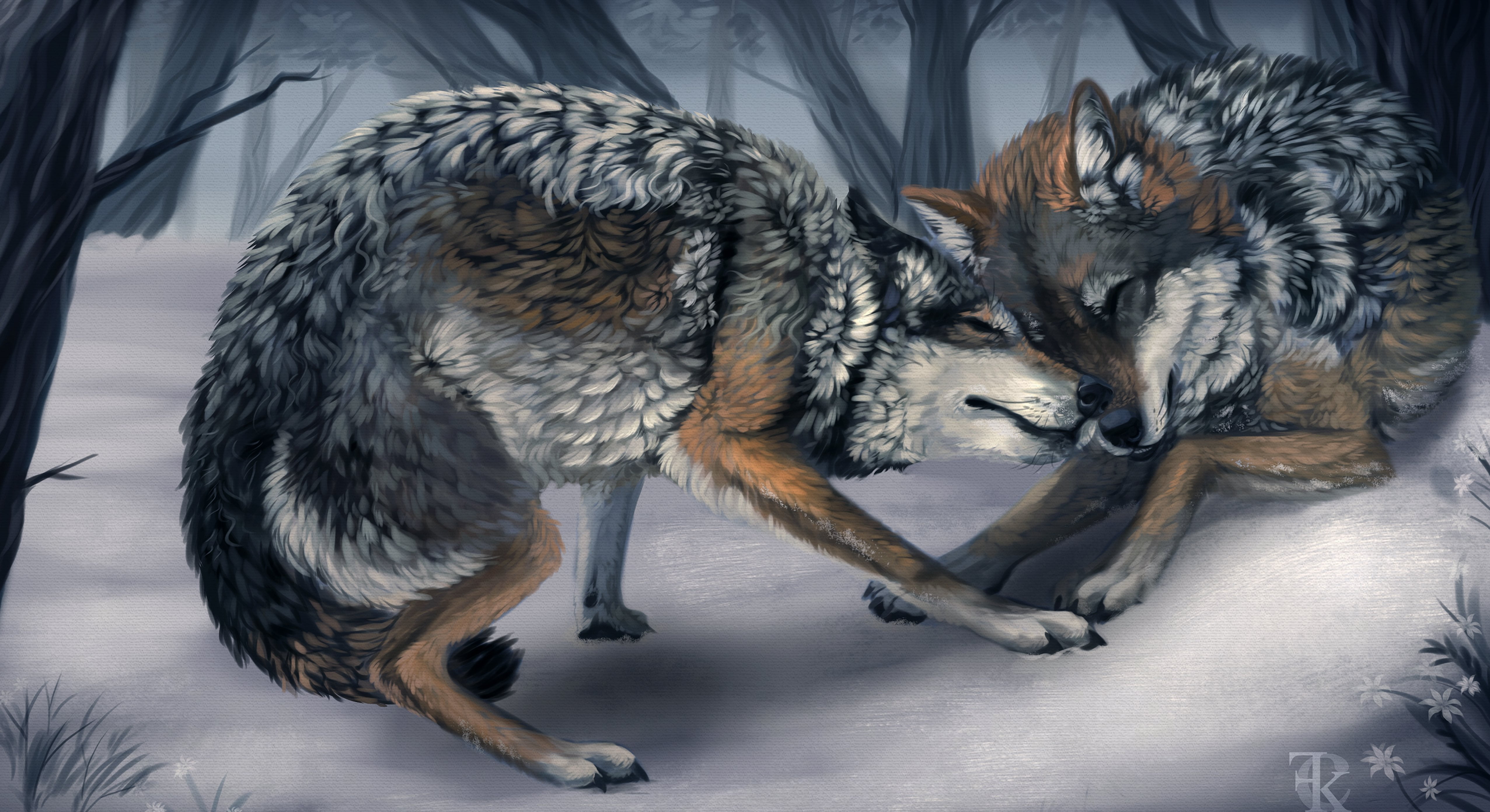 wolf, trees, two, wild, wolves, canine, animal, animal themes, cold temperature, animal wildlife, group of animals, day, nature, snow, animals in the wild, HD Wallpaper