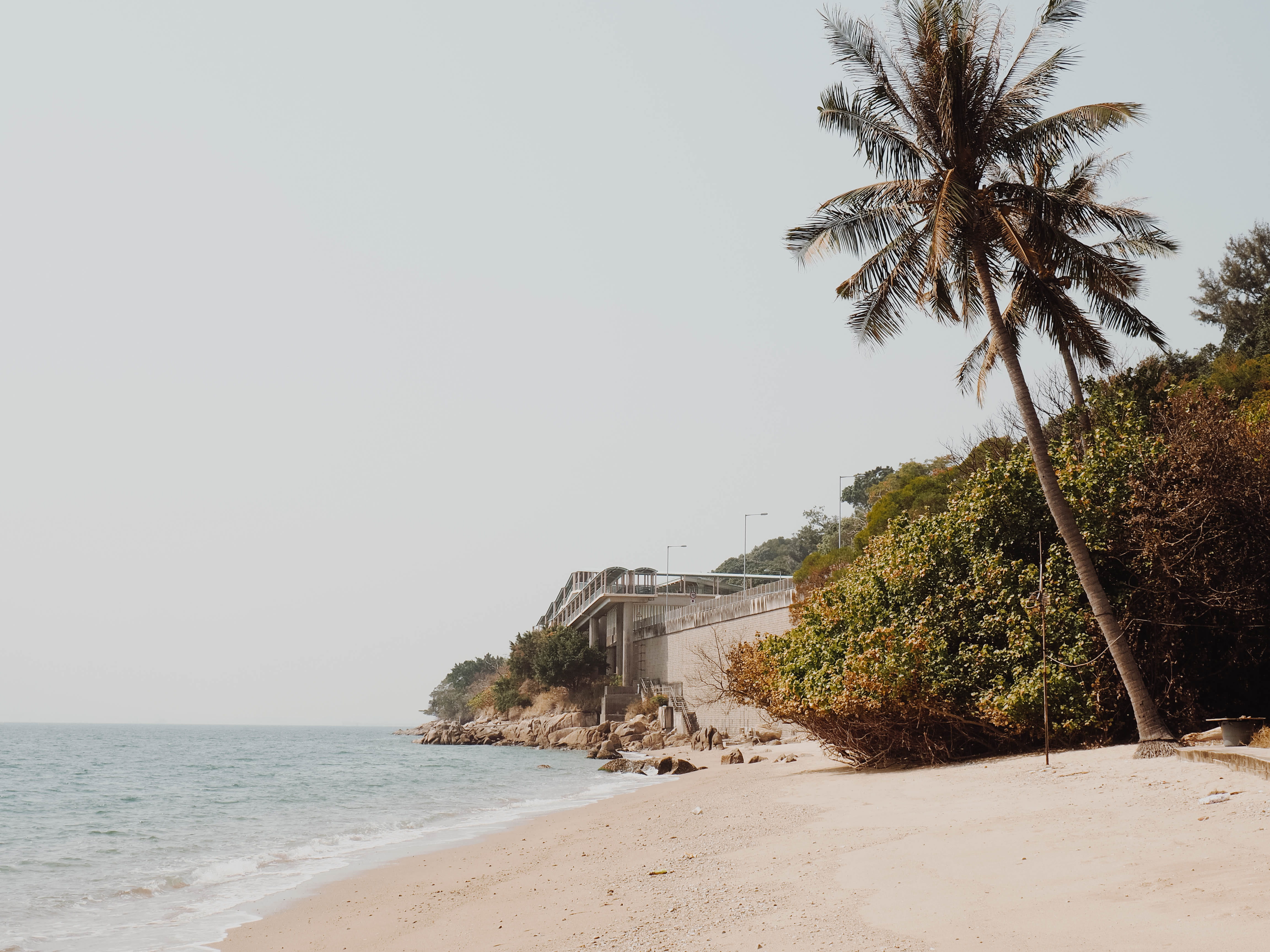 growth, no people, sky, sea, seashore, beach, ocean, architecture, beauty in nature, horizon over water, water, coconut palm tree, hidden beach, coconut, HD Wallpaper