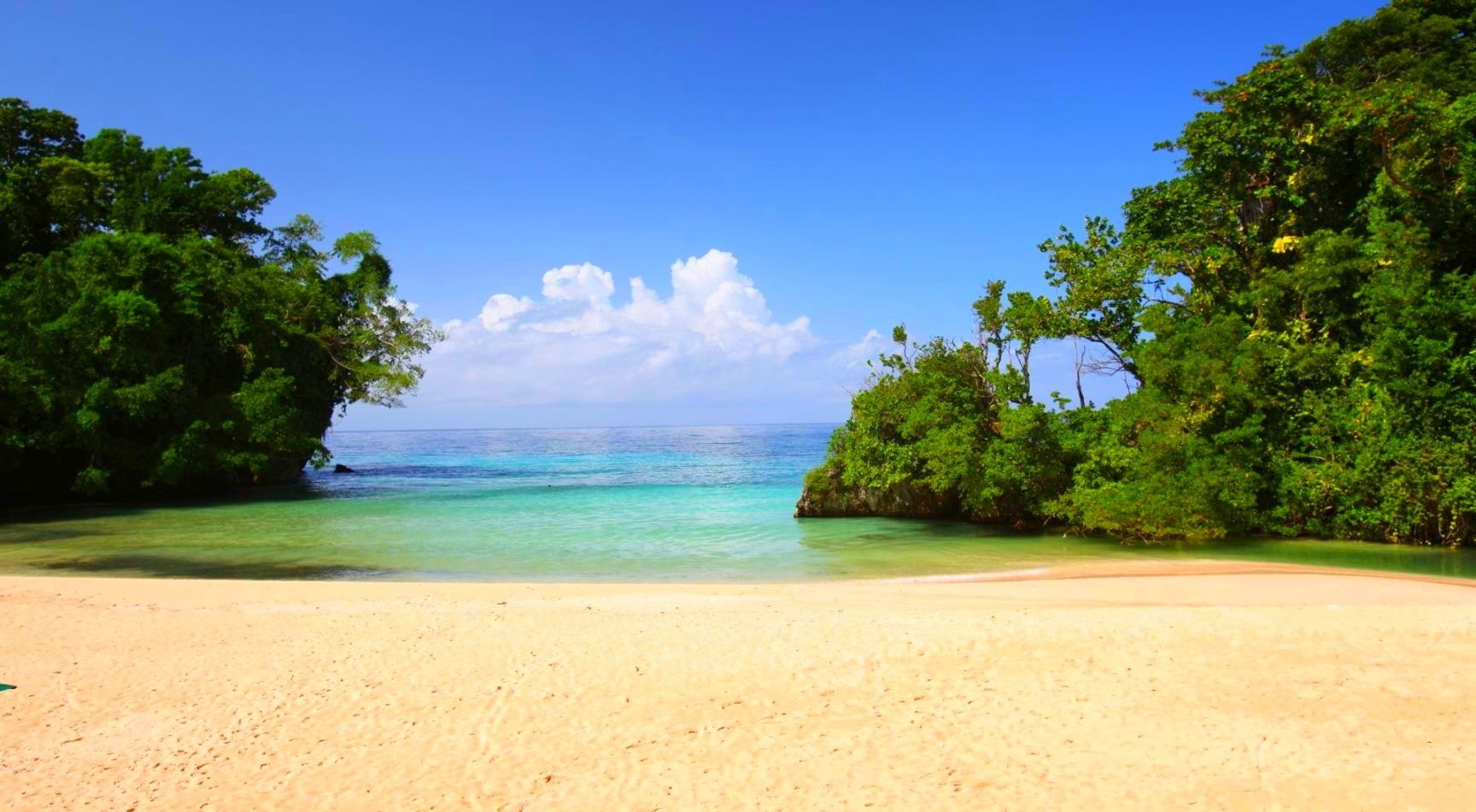 day, horizon over water, beach, sea, beauty in nature, land, sand, Hidden, non-urban scene, nature, idyllic, cloud - sky, outdoors, Trees, tree, tranquility, HD Wallpaper