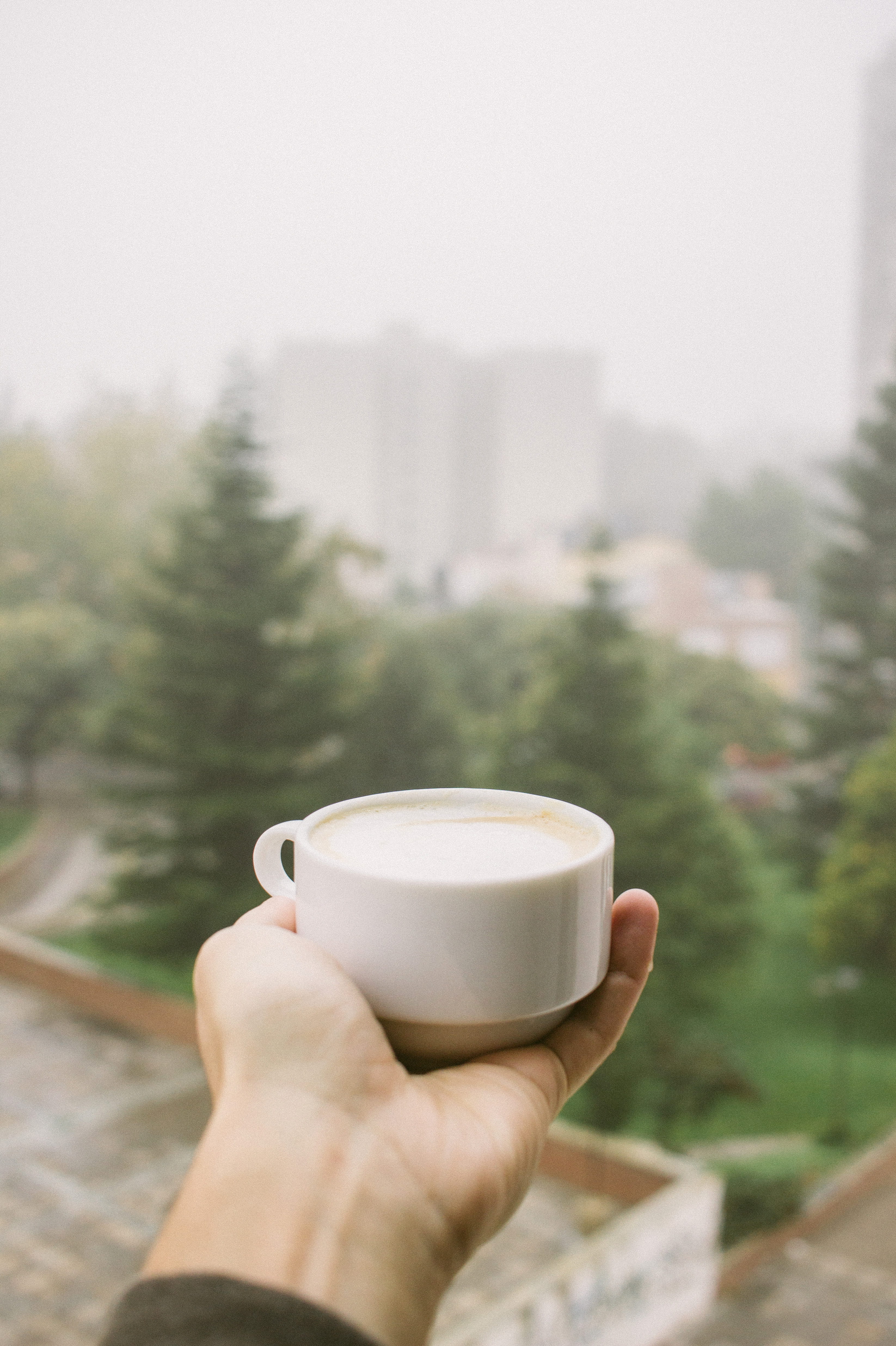 coffee - drink, city, one person, real people, human hand, hot, pines, argentina, mug, holding, personal perspective, crockery, unrecognizable person, fog, Phone HD Wallpaper