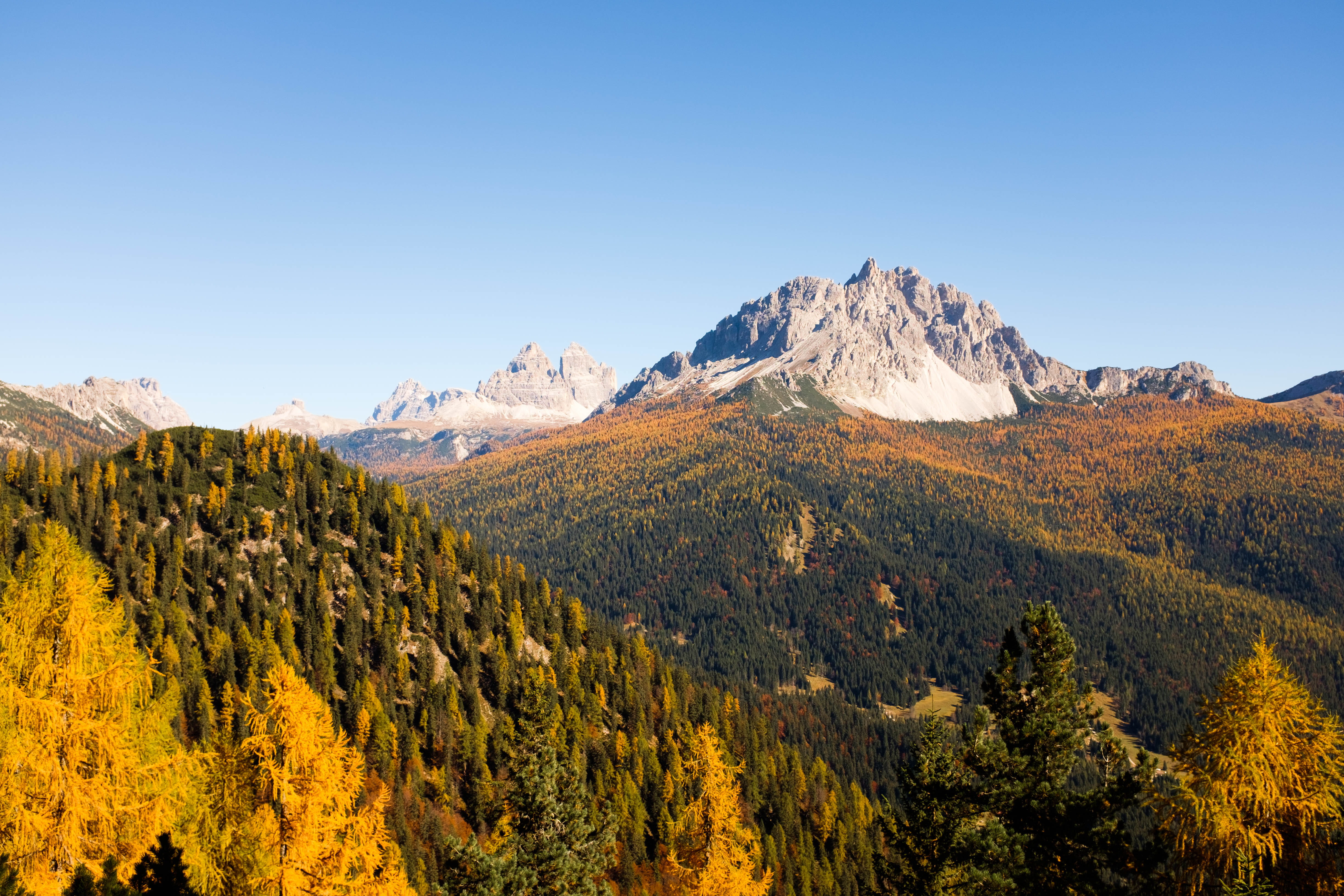 scenics - nature, pine woodland, land, snow, autumn, clear sky, sky, mountain peak, beauty in nature, rock, tree, alp, coniferous tree, outdoors, 4K, cold temperature, HD Wallpaper