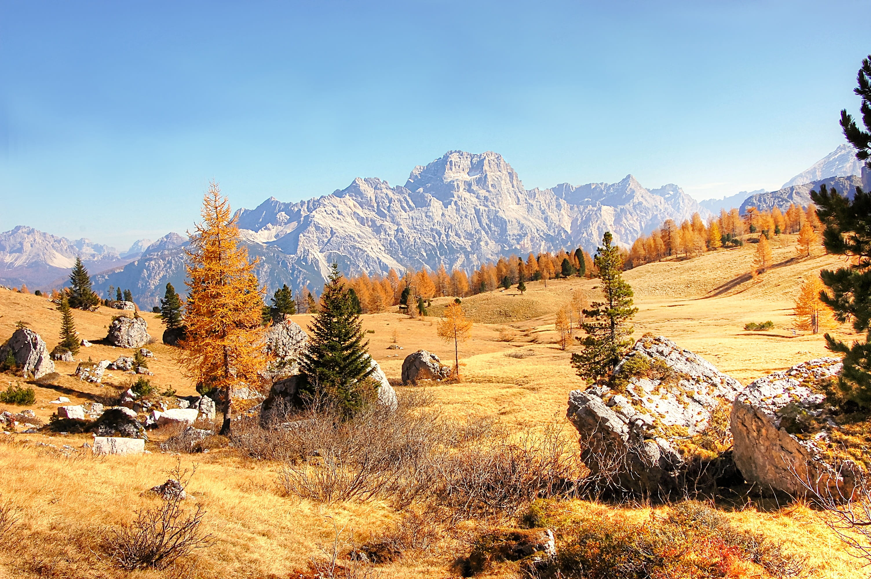 tree, alpine, tranquility, beauty in nature, landscape, field, alm, scenics - nature, mountain, italy, alpine panorama, rubble field, plant, dolomites, HD Wallpaper