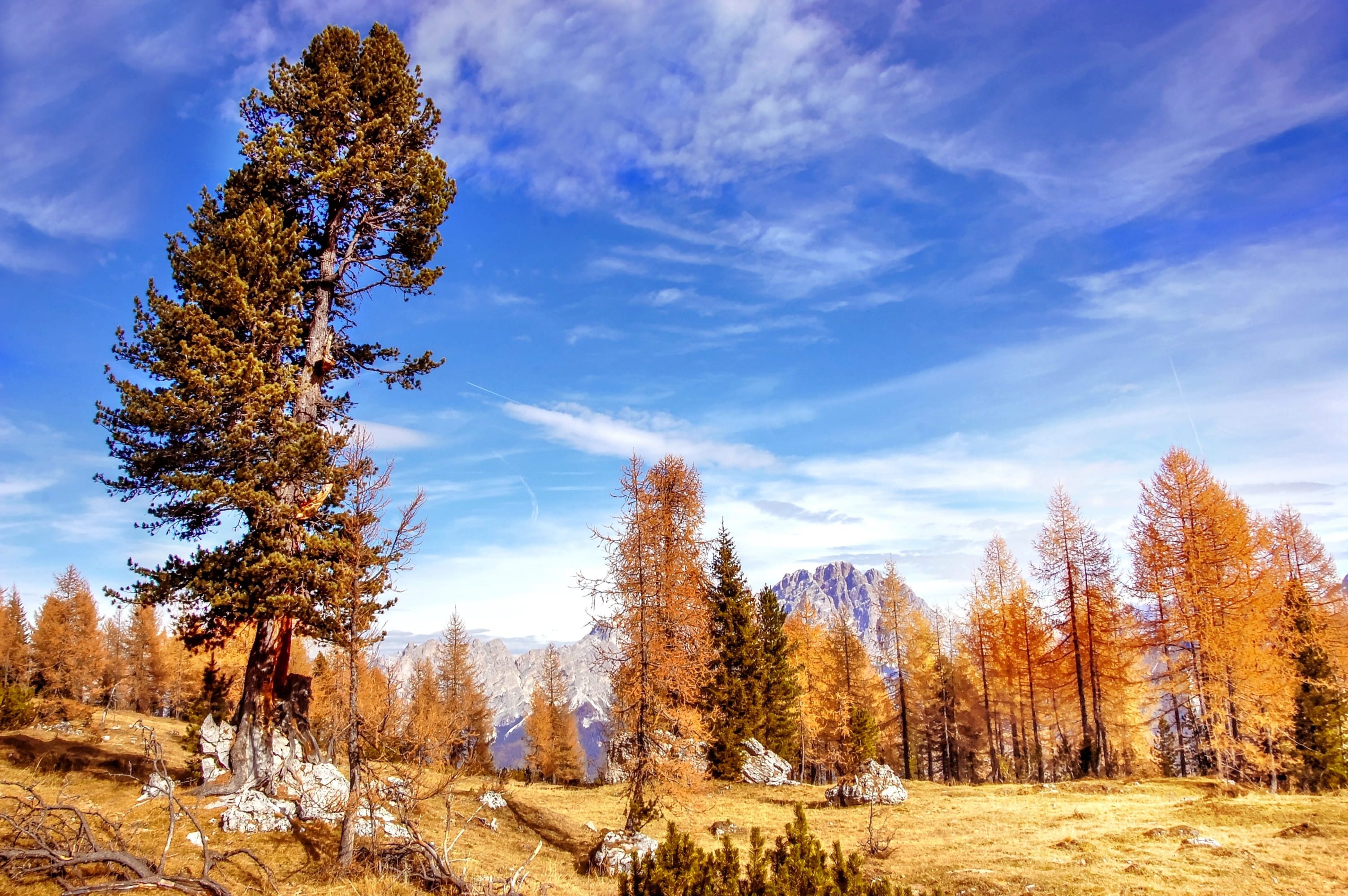 plant, landscape, no people, nature, dolomites, clouds, beauty in nature, scenics - nature, hike, autumn, hiking, italy, rock, cloud - sky, land, view, HD Wallpaper