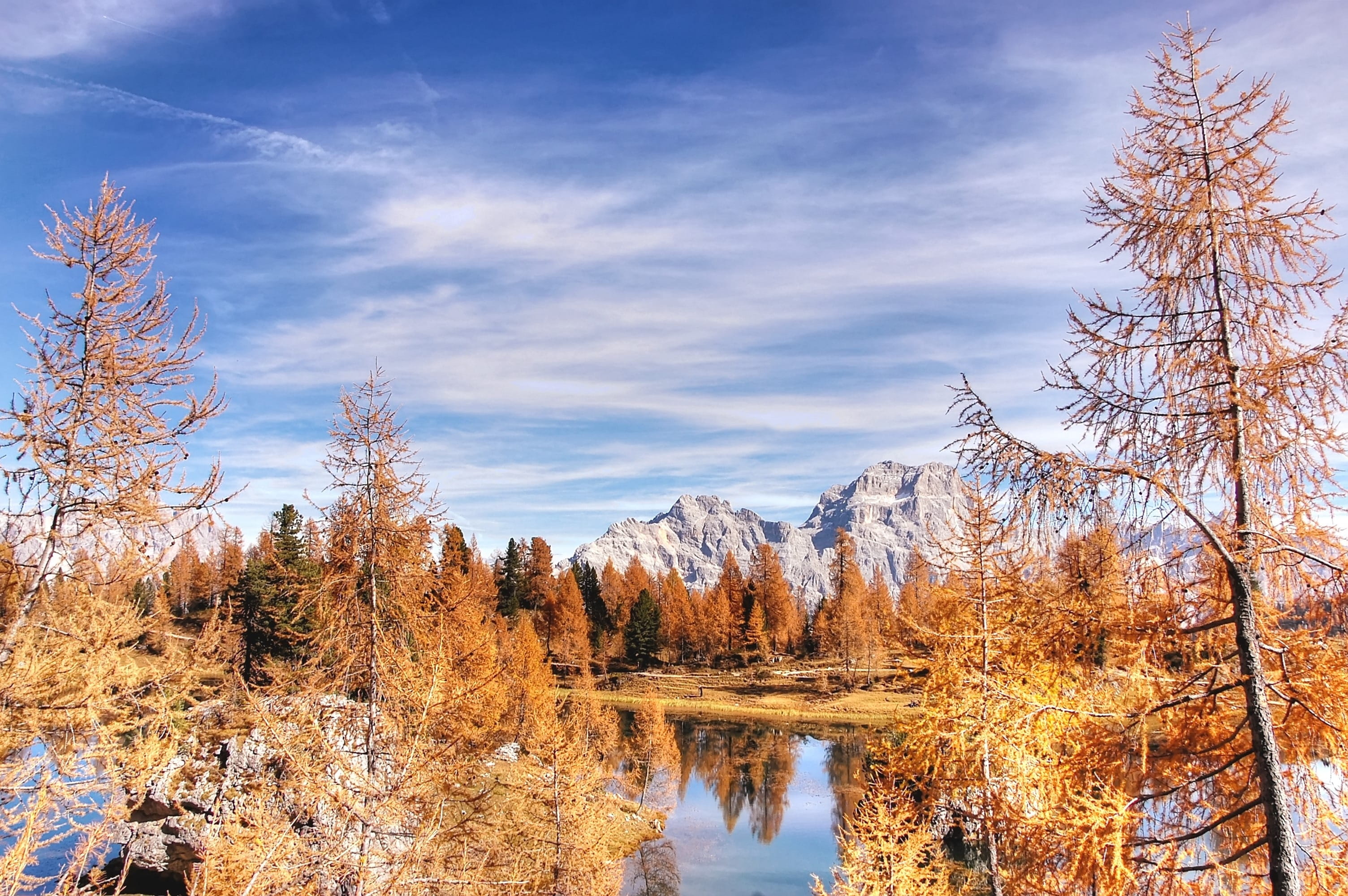 non-urban scene, panorama, rock, change, landscape, pine tree, scenics - nature, cloud - sky, clouds, environment, forest, sky, 2K, summer, water, tranquil scene, HD Wallpaper