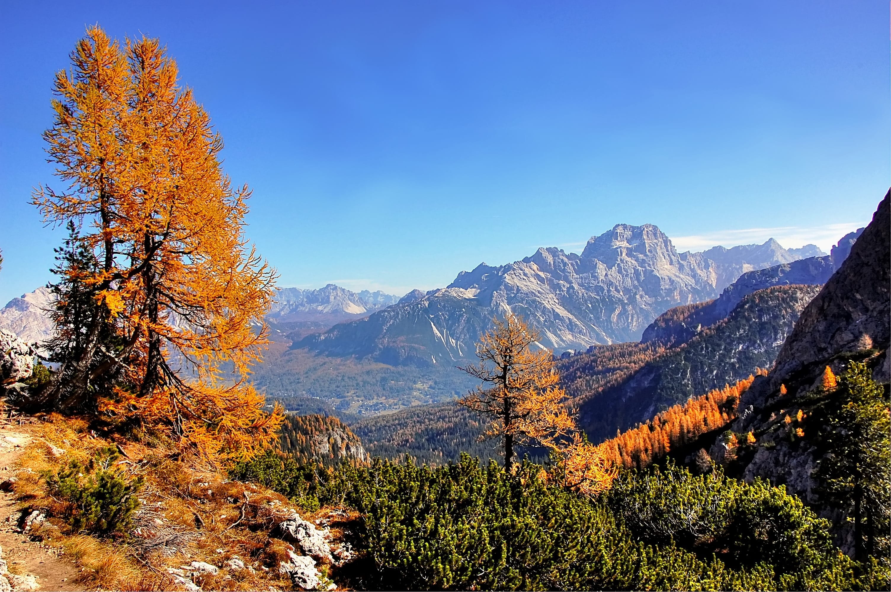 tree, landscape, hike, blue, scenics - nature, land, plant, mountain, idyllic, mountain peak, alpine panorama, alpine, sky, sorapis, beauty in nature, pine tree, HD Wallpaper