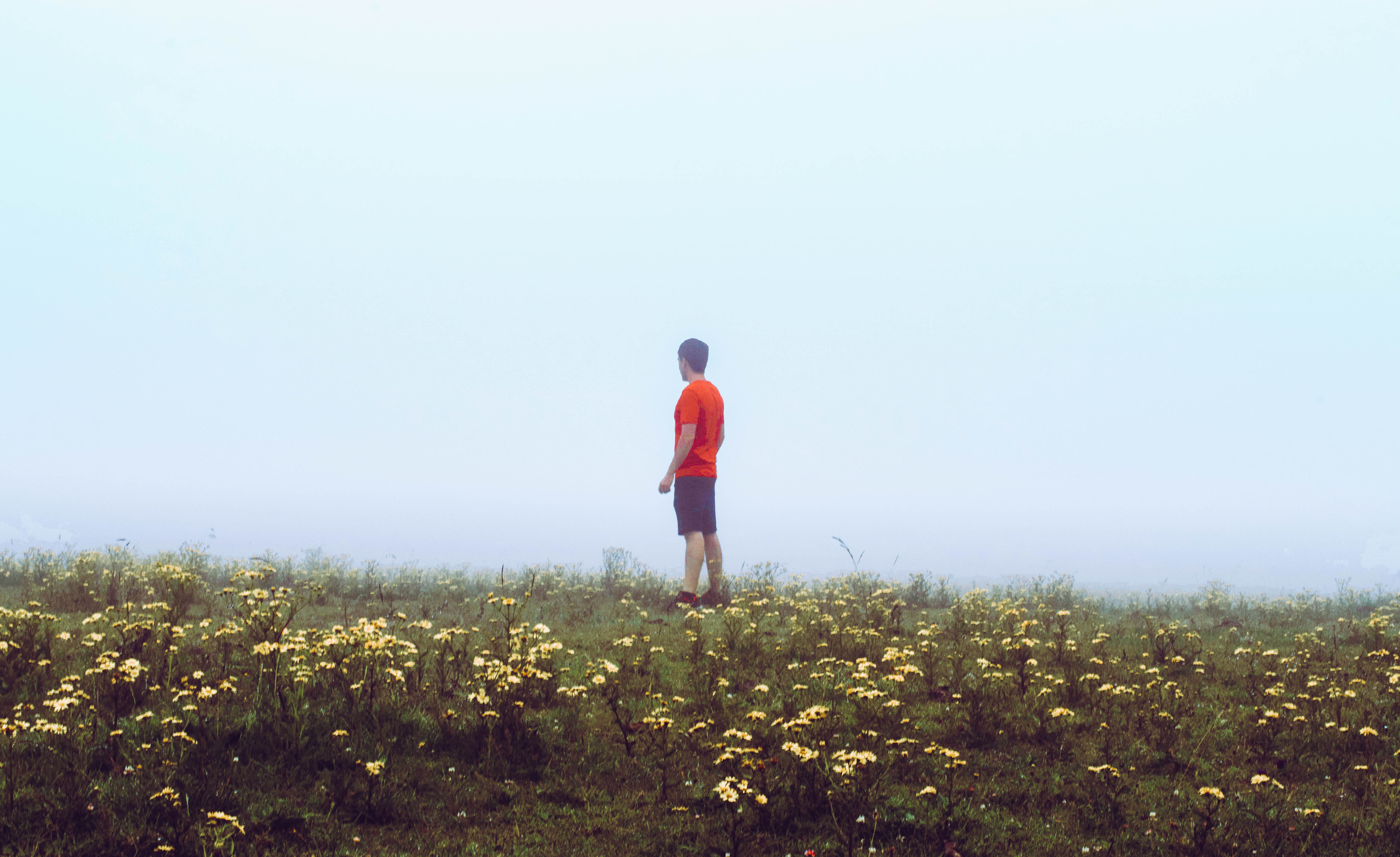 standing, shorts, nature, red, lifestyles, sky, growth, leisure activity, environment, yellow, lakes of covadonga, guy, landscape, forest, field, beauty in nature, HD Wallpaper