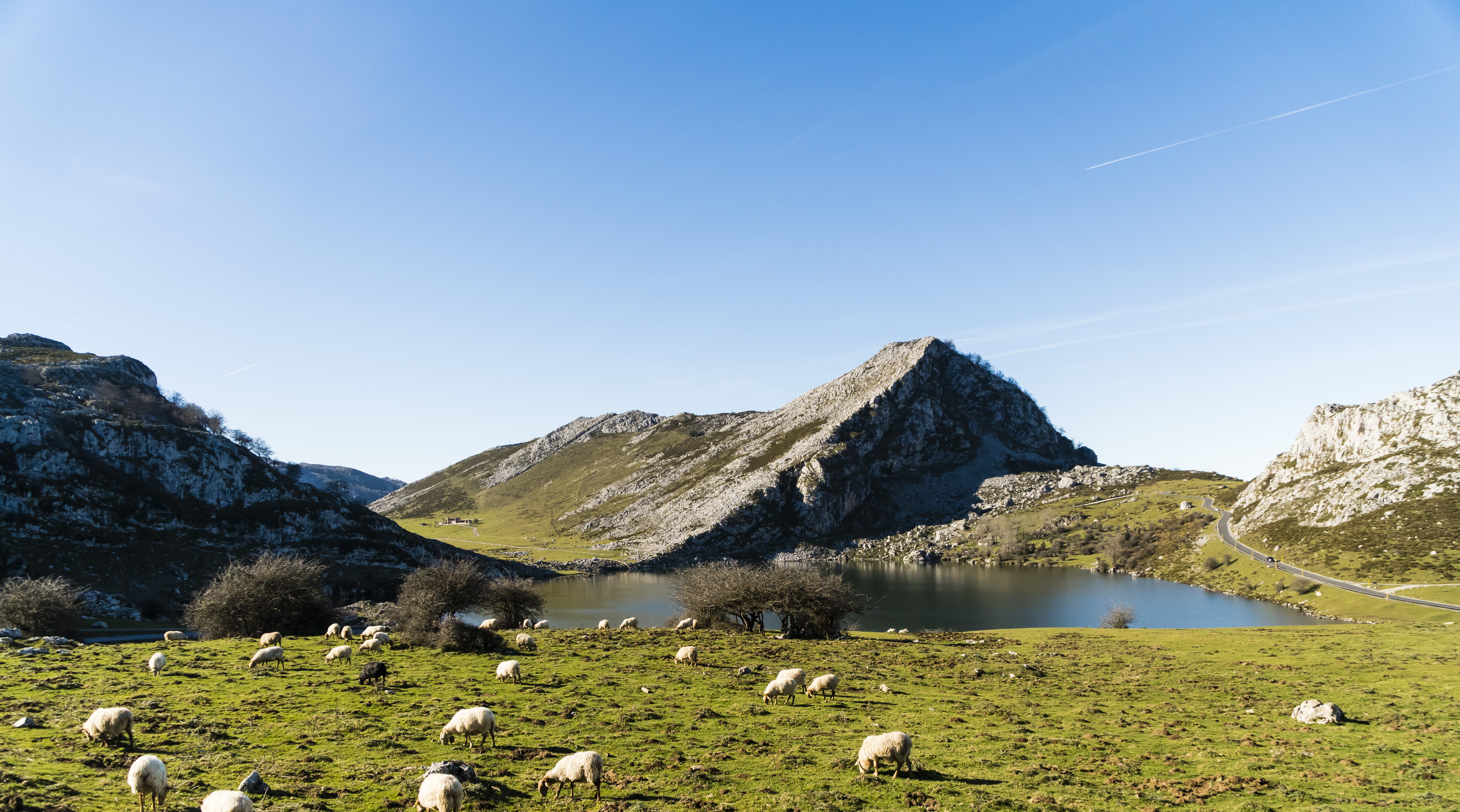 5K, tranquil scene, landscape, outdoors, no people, beauty in nature, day, animals, mountain range, non-urban scene, blue, sky, spain, sheep, solid, rock, HD Wallpaper