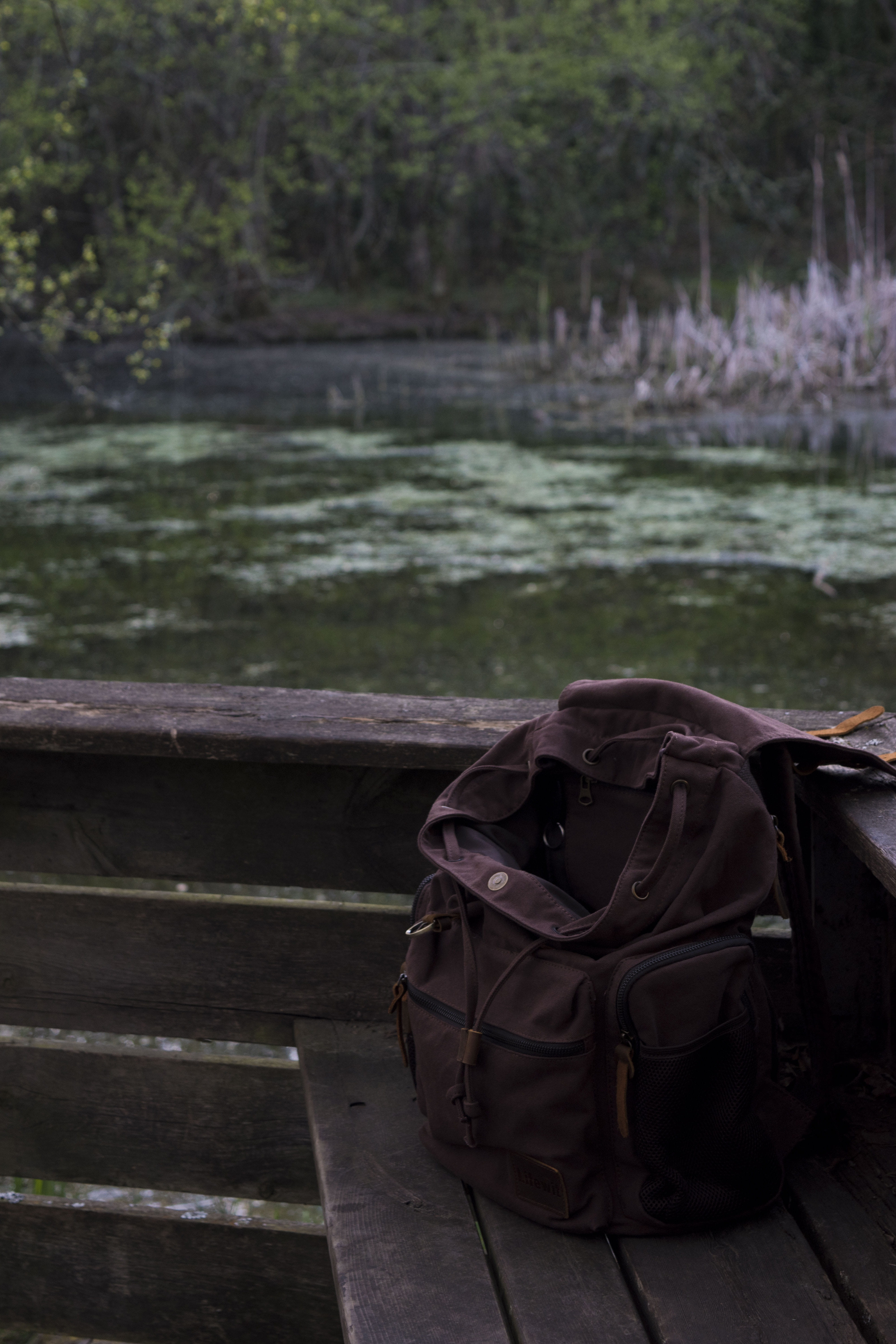 verde, sentimientos, water, lake, agua, non-urban scene, forest, plant, naturaleza, day, backpack, green, beauty in nature, wild, focus on foreground, vigo, Phone HD Wallpaper