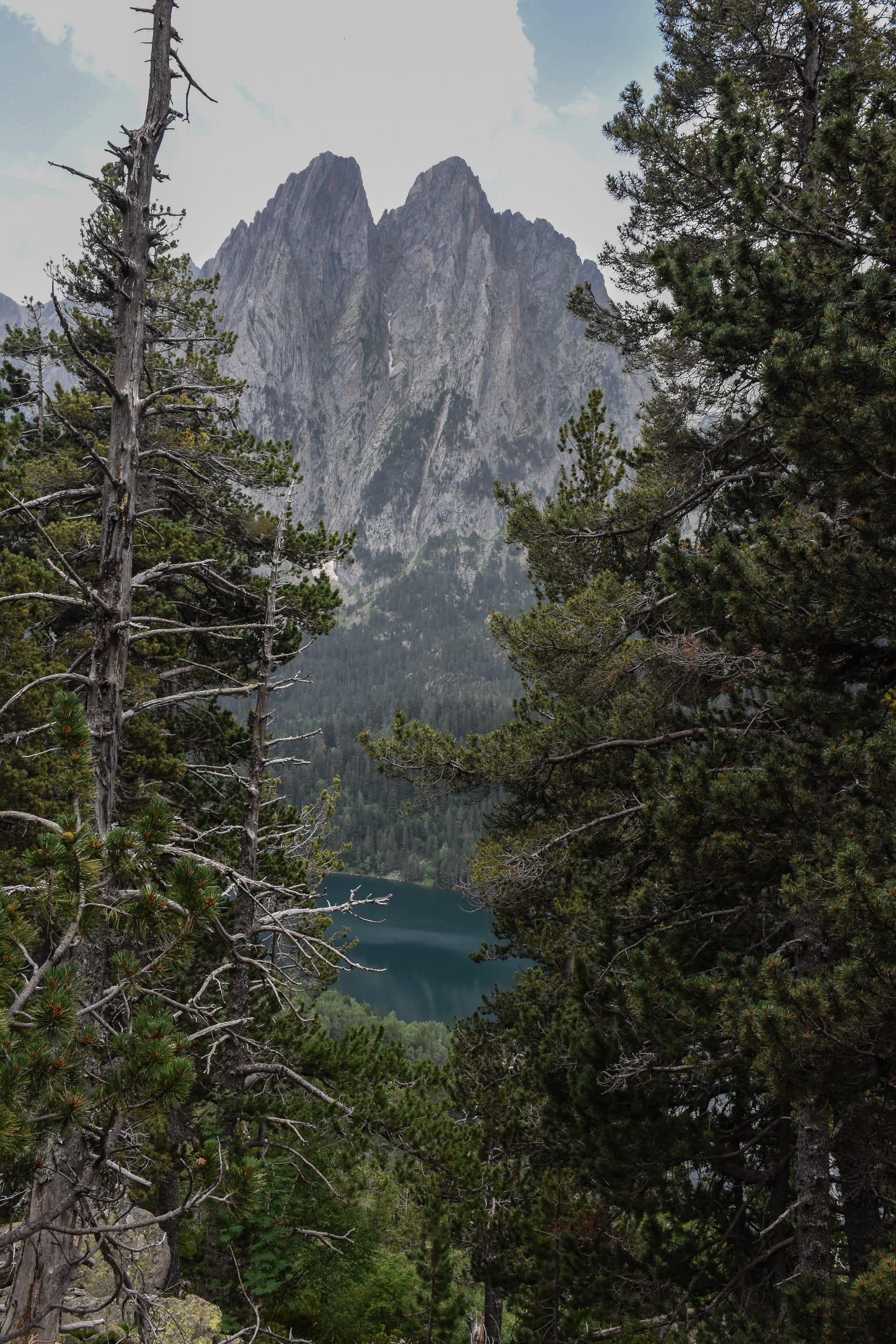 tranquil scene, lake, mountain, sky, verde, pirenees, day, 2K, formation, tree, beauty in nature, idyllic, rock, plant, outdoors, land, forest, landscape, Phone HD Wallpaper