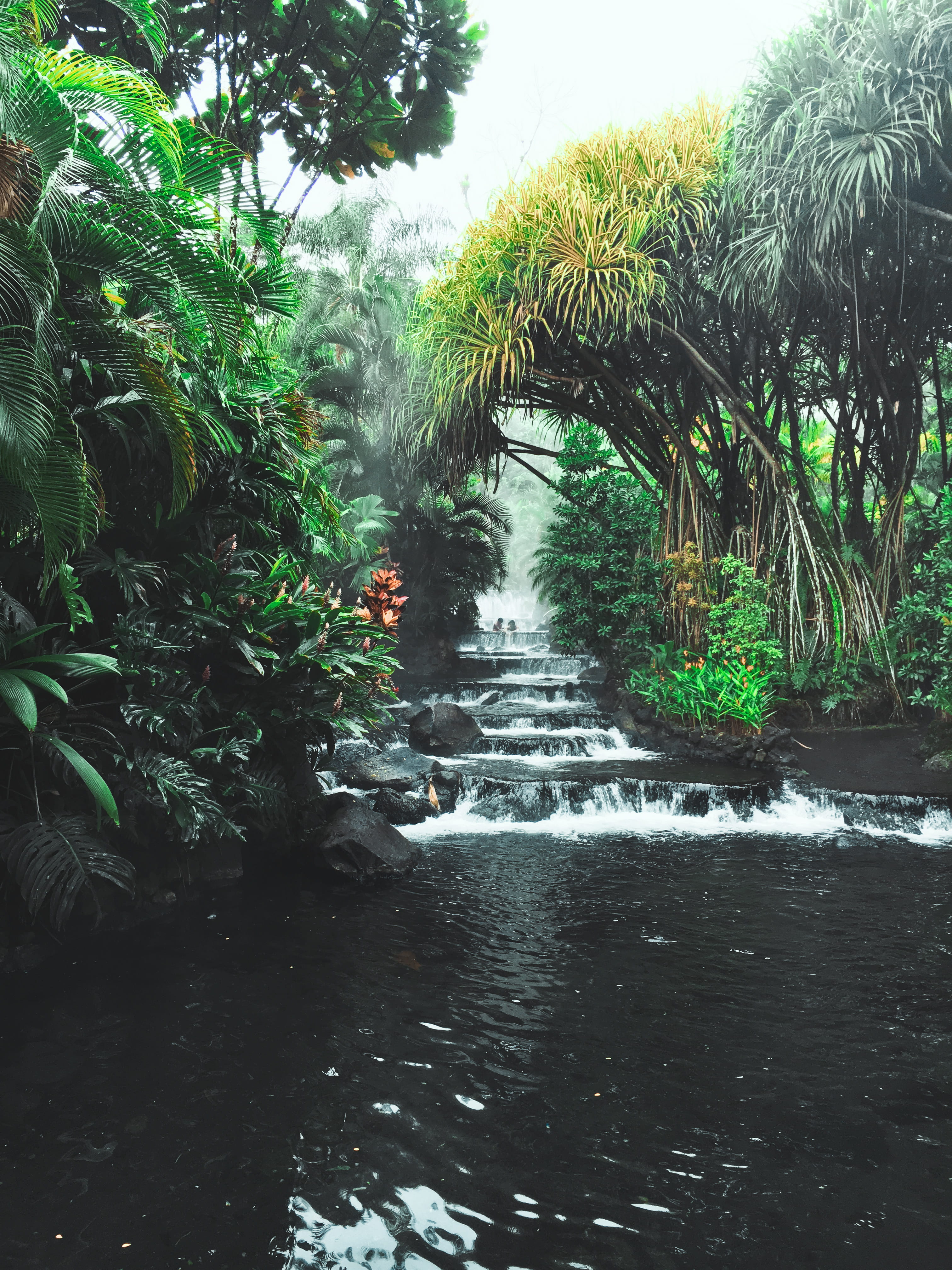 arenal, trees, costa rica, beauty in nature, volcan water, water, tabacon thermal resort and spa, lago, flowing, direction, no people, palms, growth, river, Phone HD Wallpaper