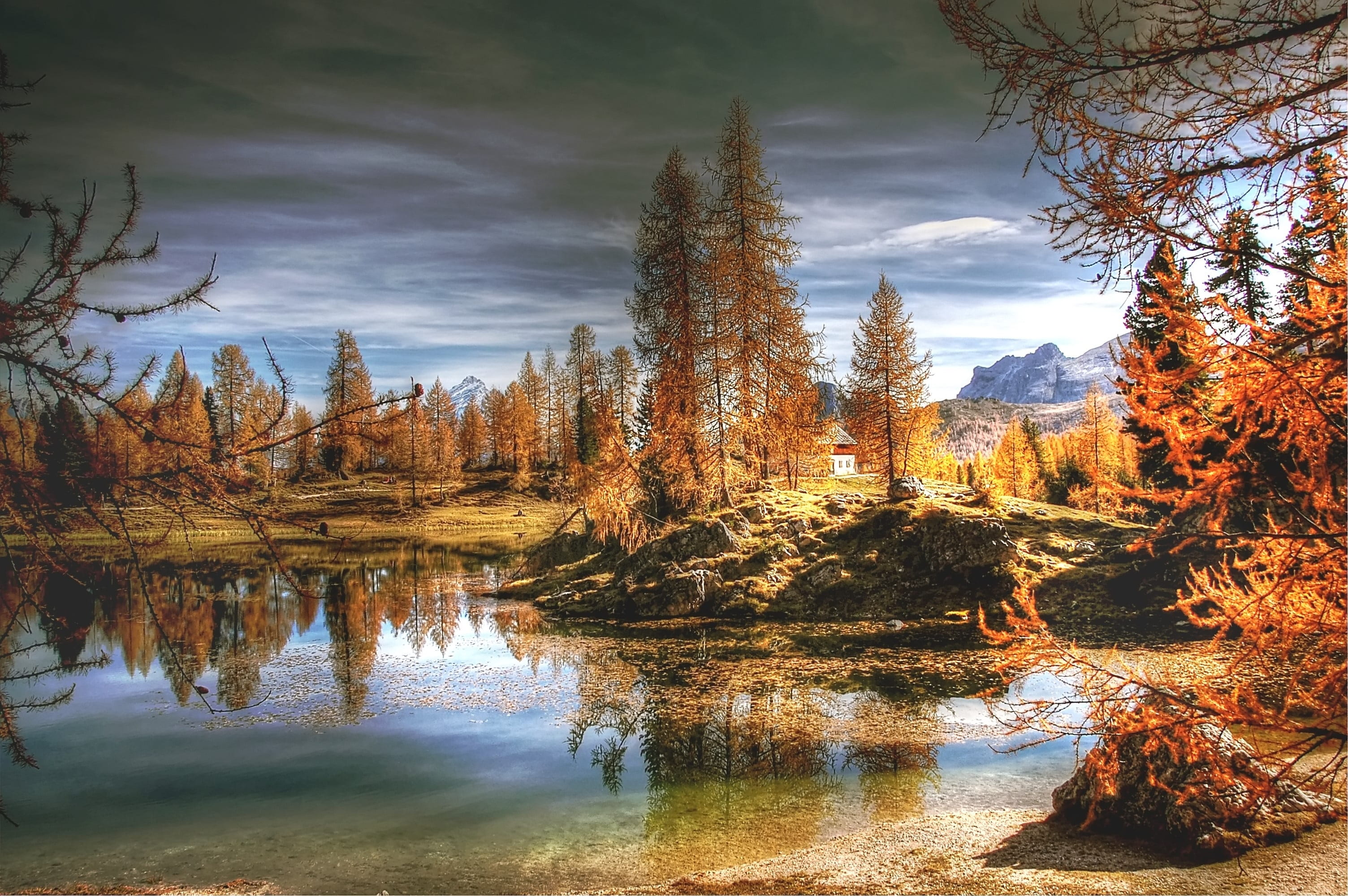 growth, nature, lago federa, clouds, tree, mountain landscape, reflection, autumn, rock, outdoors, water, panorama, italy, view, no people, scenics - nature, HD Wallpaper