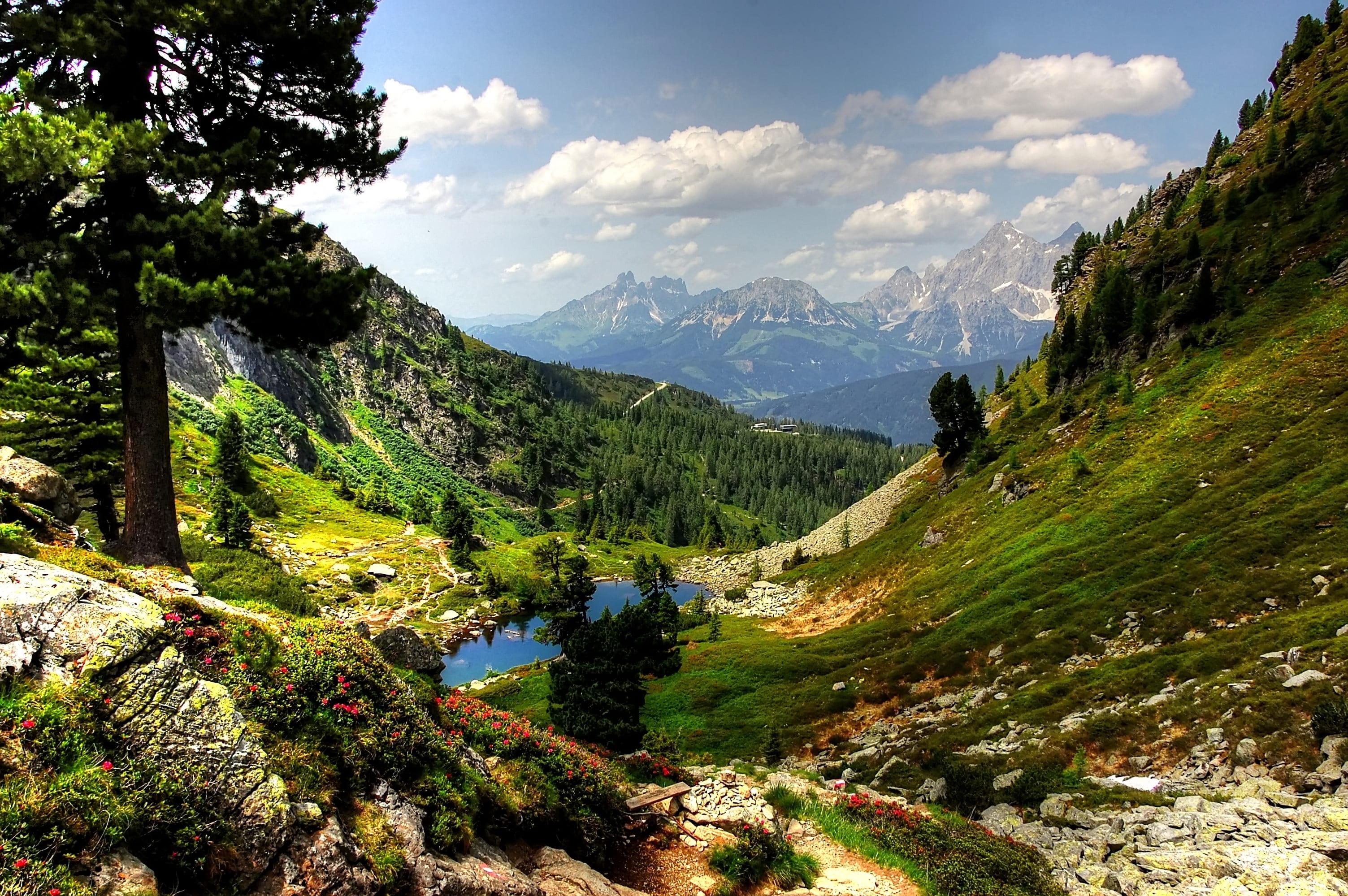 daytime, mountain, land, idyll, dachstein, tranquility, outdoors, austria, nature, no people, schladming, 2K, alpine, bergsee, ennstal, summer, water, HD Wallpaper