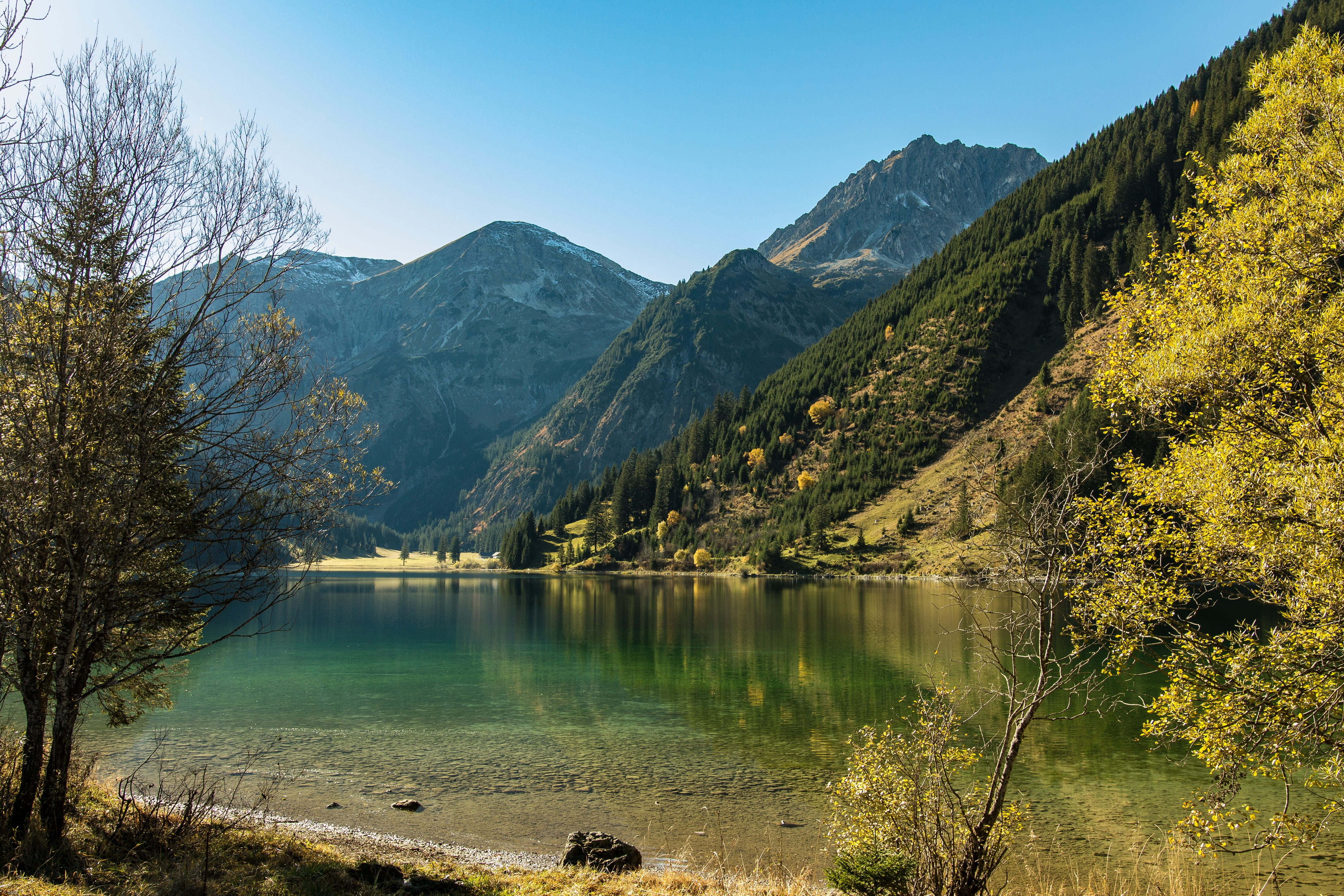 water, tranquility, pine tree, beauty in nature, lake, tyrol, vilsalpseeberge, coniferous tree, reflection, land, day, vilsalpsee, mountain, mountains, HD Wallpaper