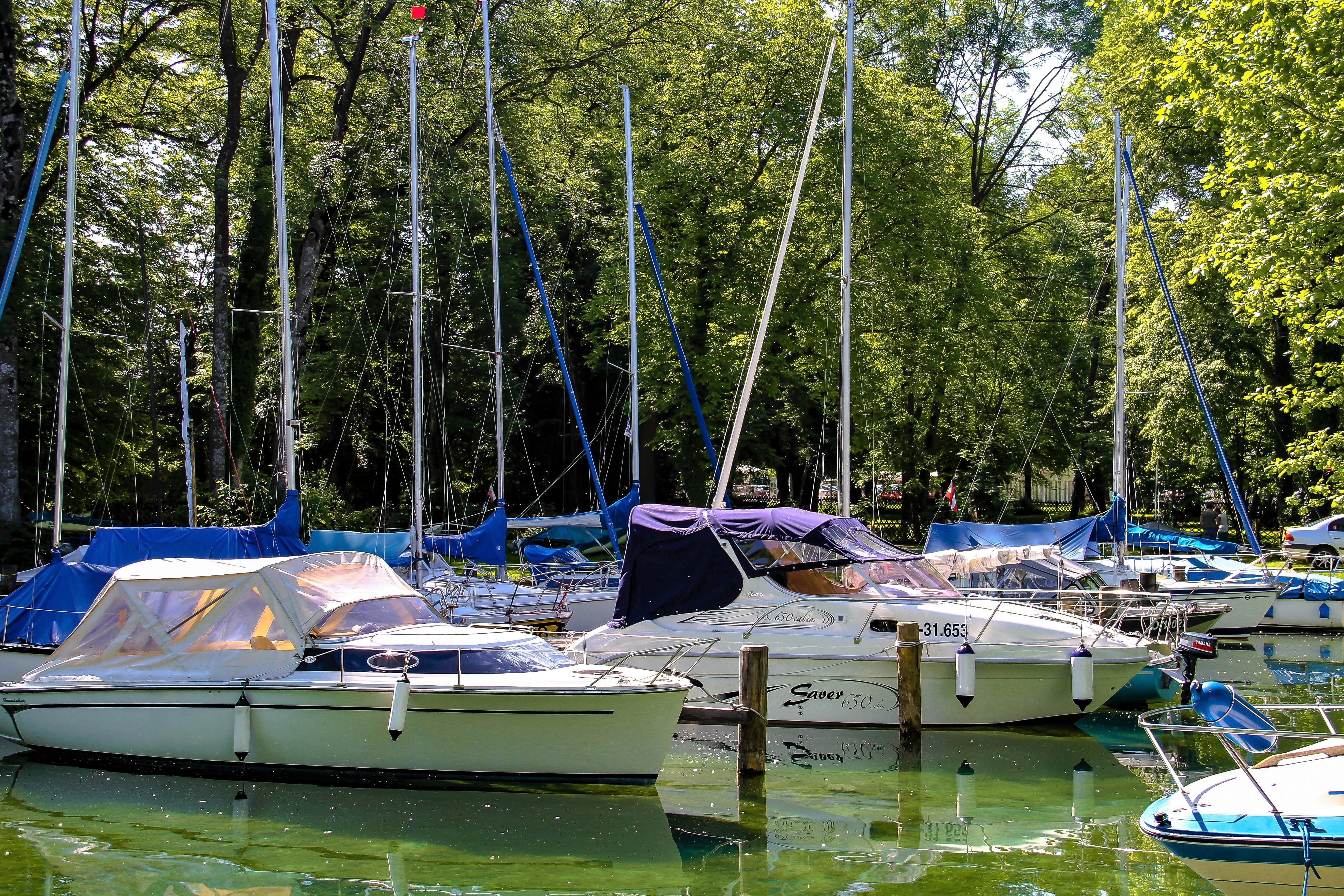mode of transportation, brine, harbour, no people, sailboat, austria, 4K, transportation, plant, growth, tree, lake, trees, forest, waterfront, water, HD Wallpaper