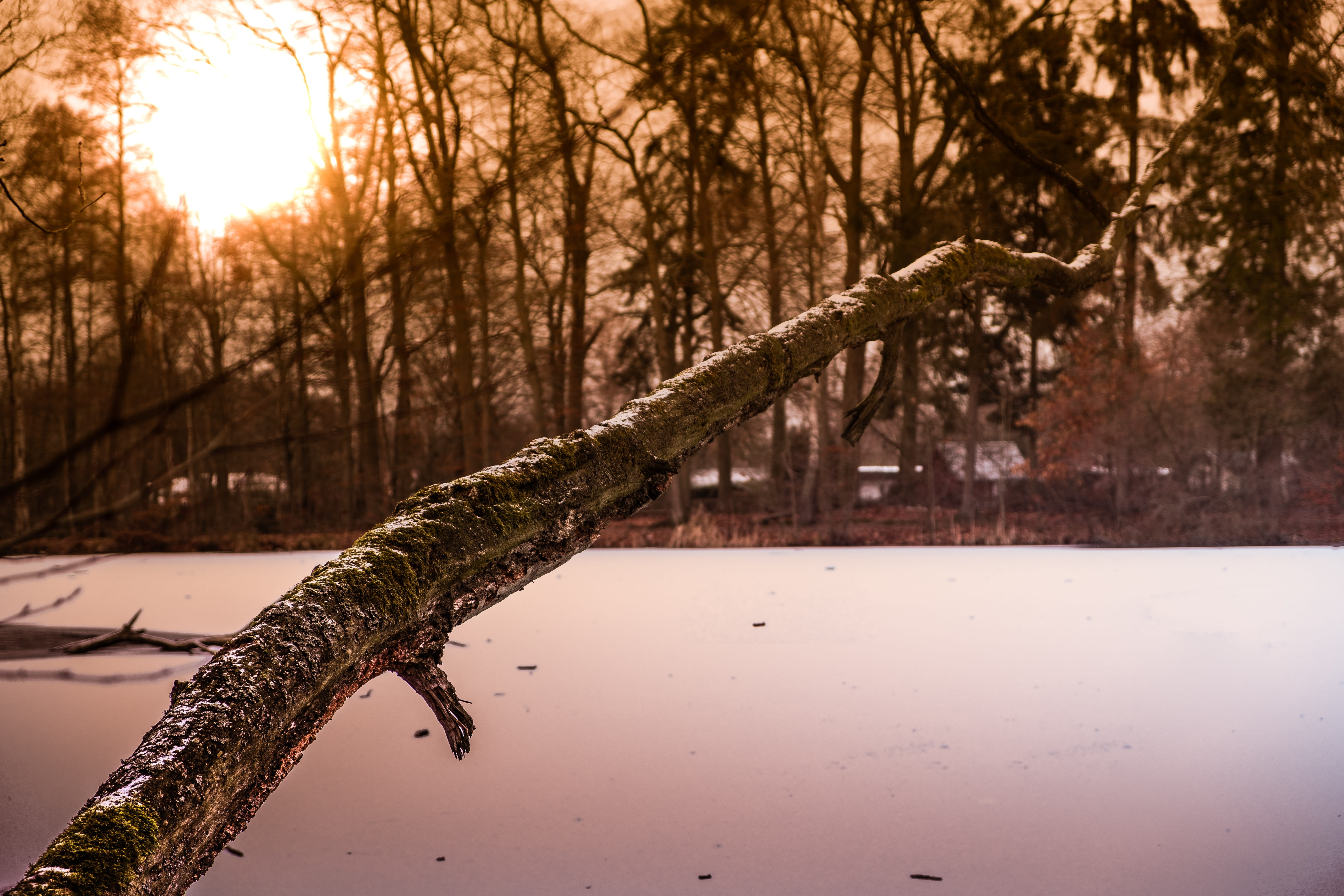 rural, sky, light, tranquility, sunset, away, 5K, sun, outdoors, river, bare tree, rest, beauty in nature, promenade, plant, tree trunk, lake, country house, HD Wallpaper