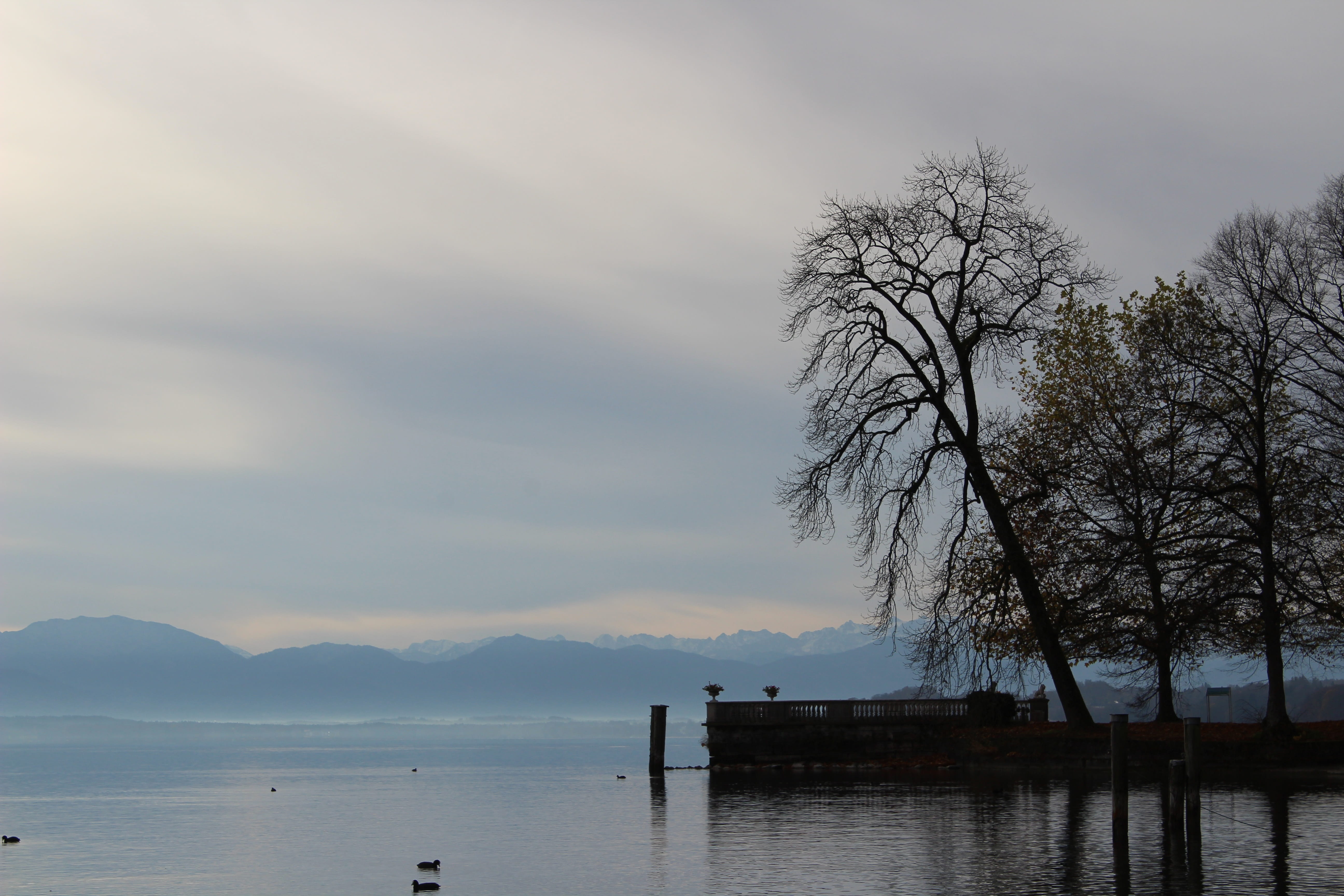 beautiful, cloud - sky, sunset, idyllic, waterfront, tranquility, 5K, bare tree, vacations, beauty in nature, autumn, plant, water, peaceful, outdoors, HD Wallpaper