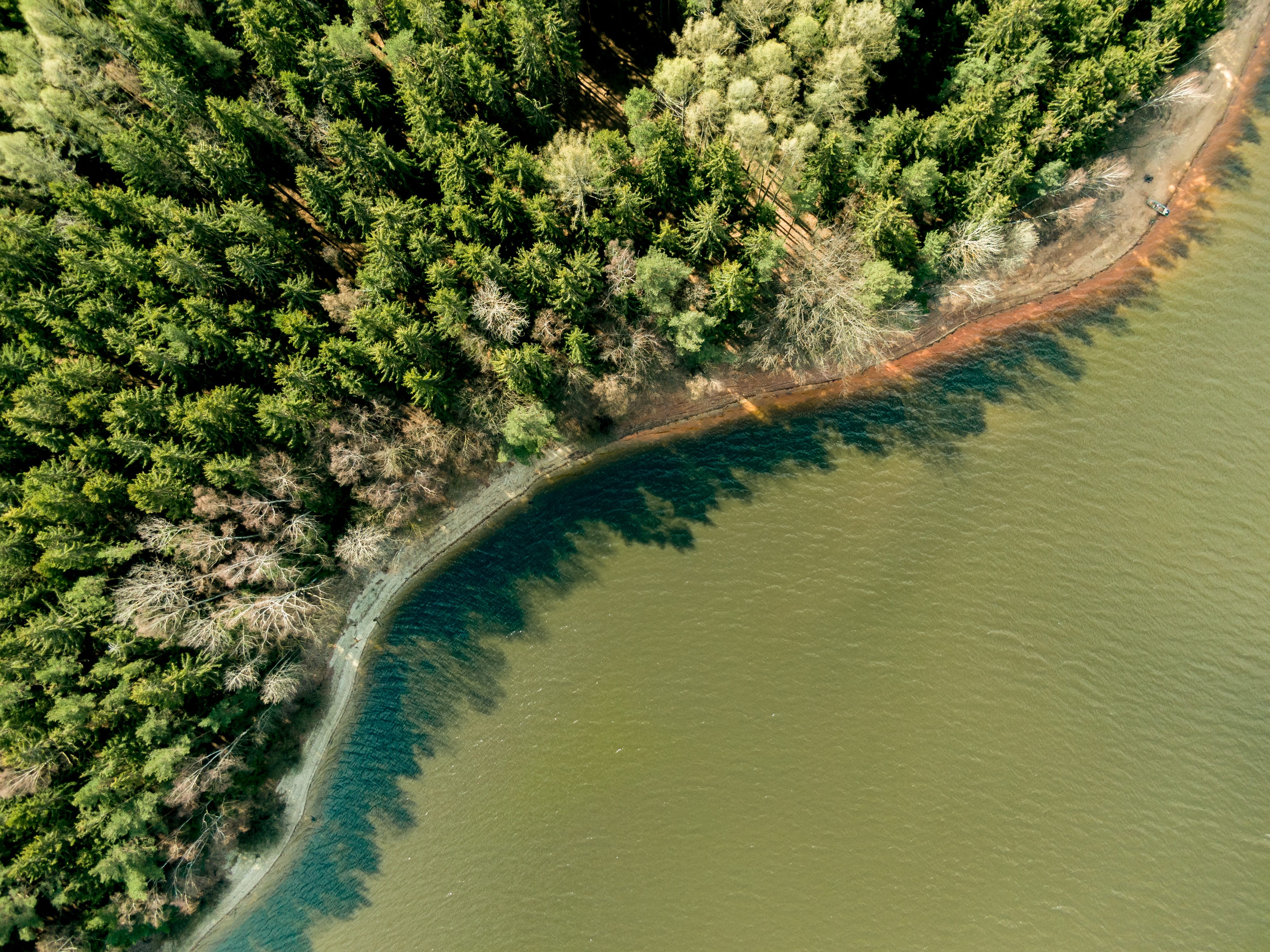 beauty in nature, contrast, brine, plant, day, scenics - nature, water, 4K, waterfront, tranquility, tree, land, waters, trees, flowing water, forest, HD Wallpaper