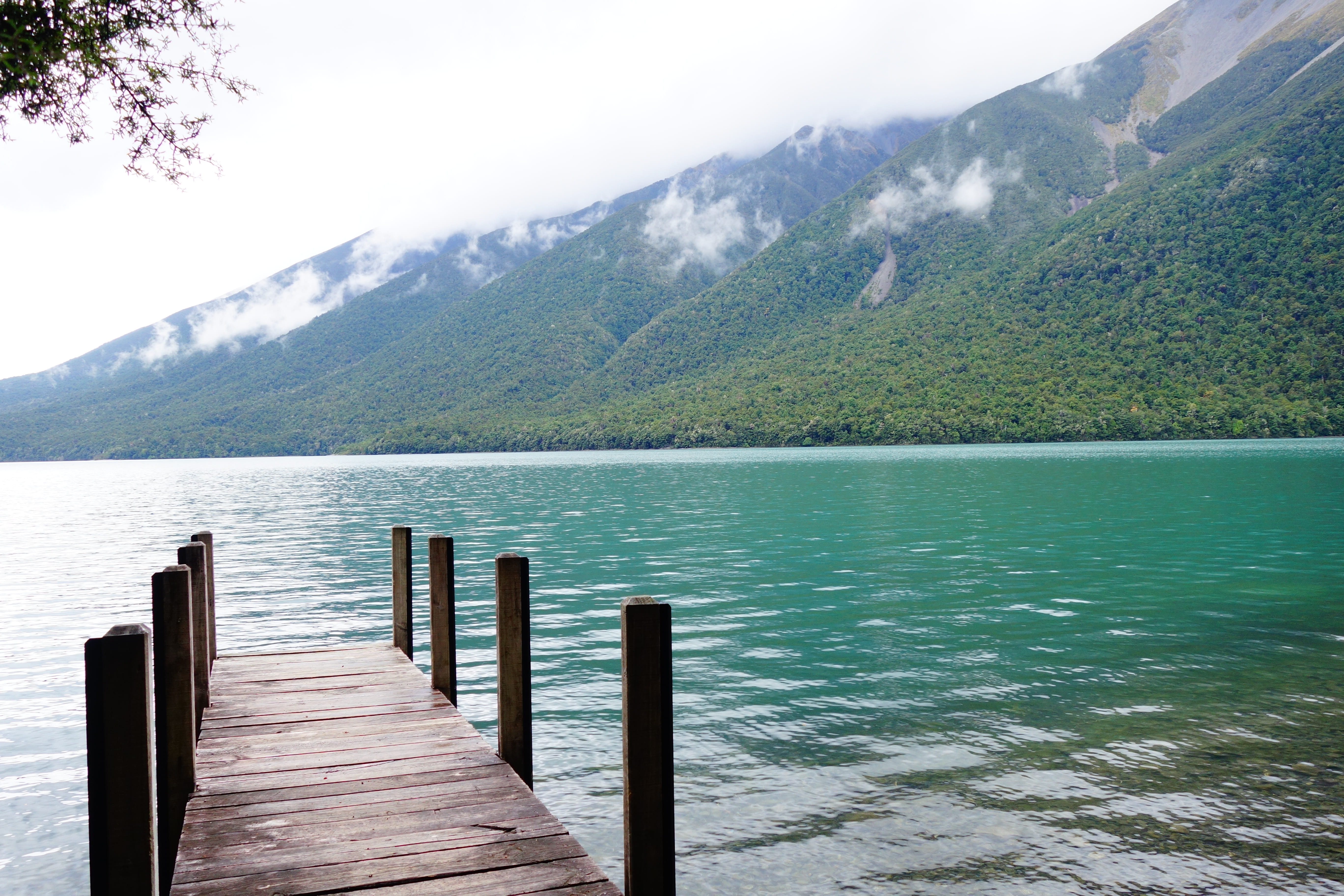 plant, scenics - nature, blue, new zealand, pier, day, wood - material, brine, outdoors, mountain range, mountain, water, wooden post, sky, water surface, HD Wallpaper