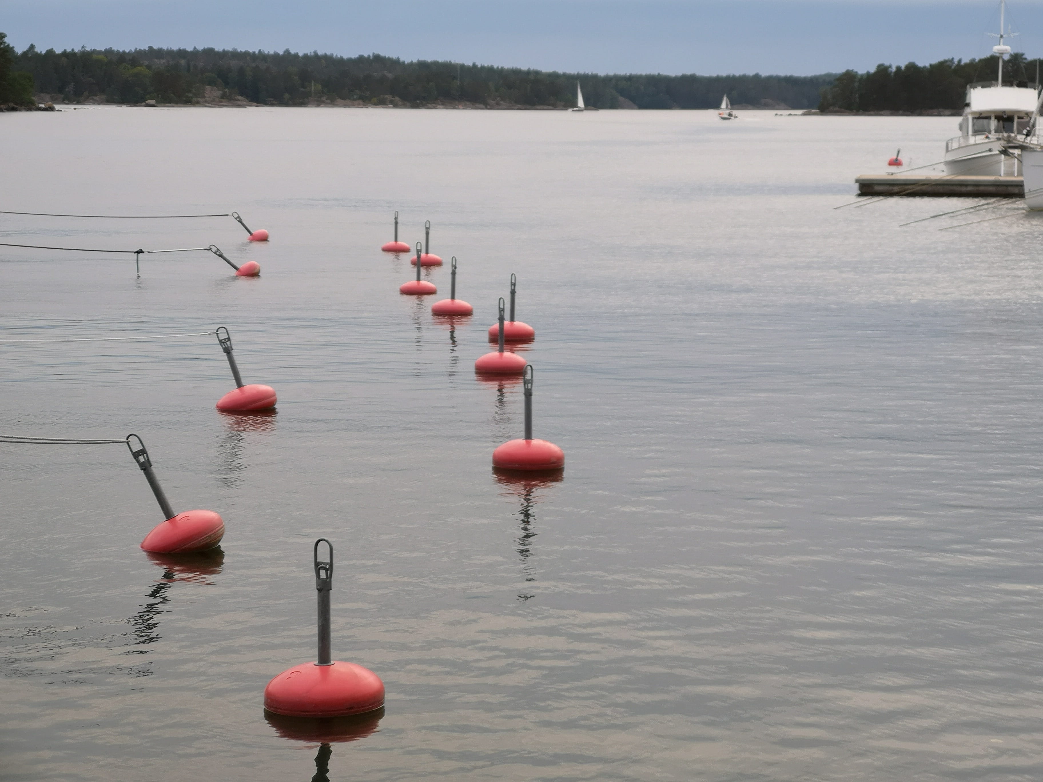 scenics - nature, evening, outdoors, beauty in nature, floating, lake, water, brine, wooden post, 2K, no people, transportation, nature, buoy, boje, safety, HD Wallpaper