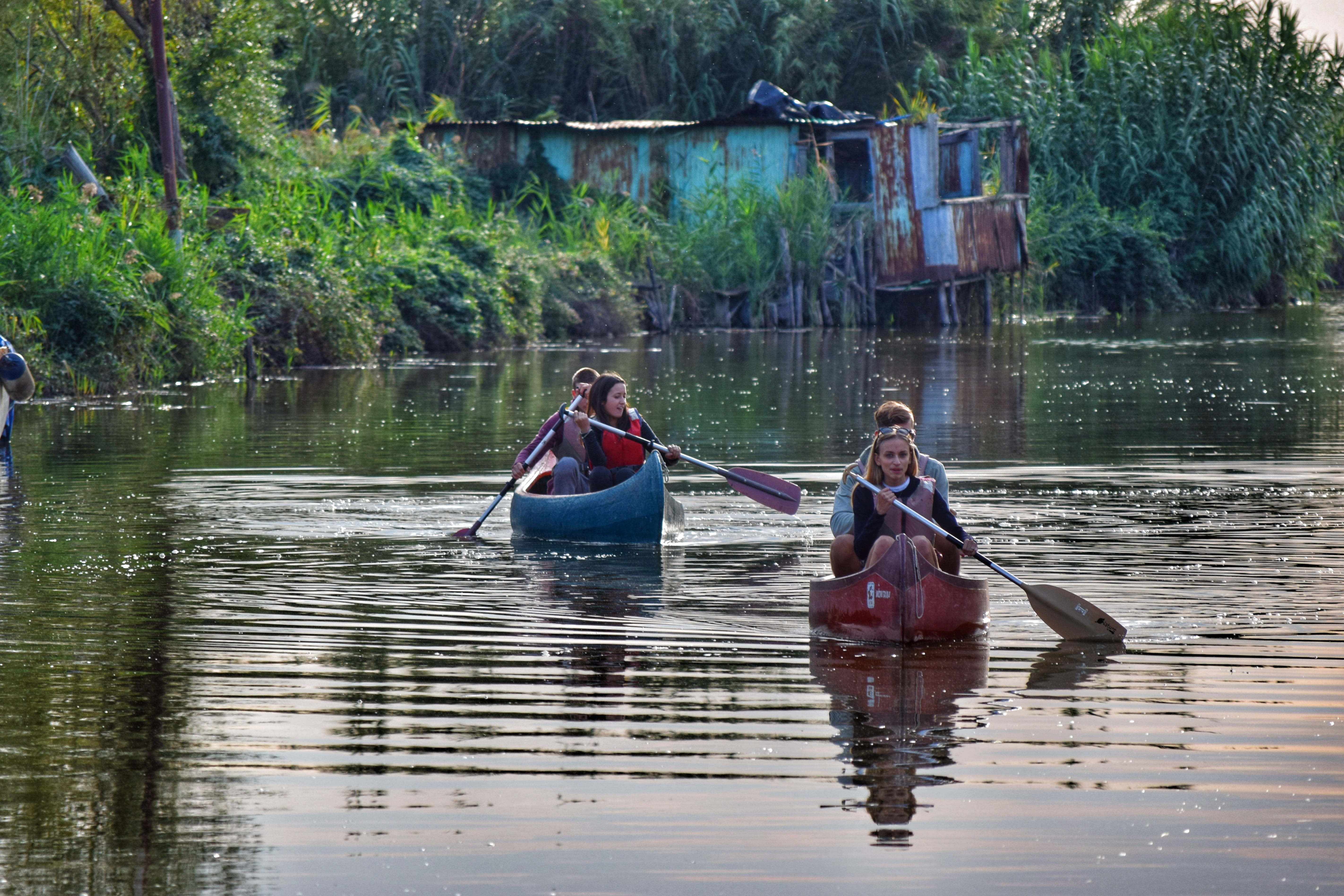 mode of transportation, lake, people, two people, day, channel, canoeing, rowboat, waterfront, versilia, transportation, lifestyles, 5K, plant, oar, outdoors, HD Wallpaper